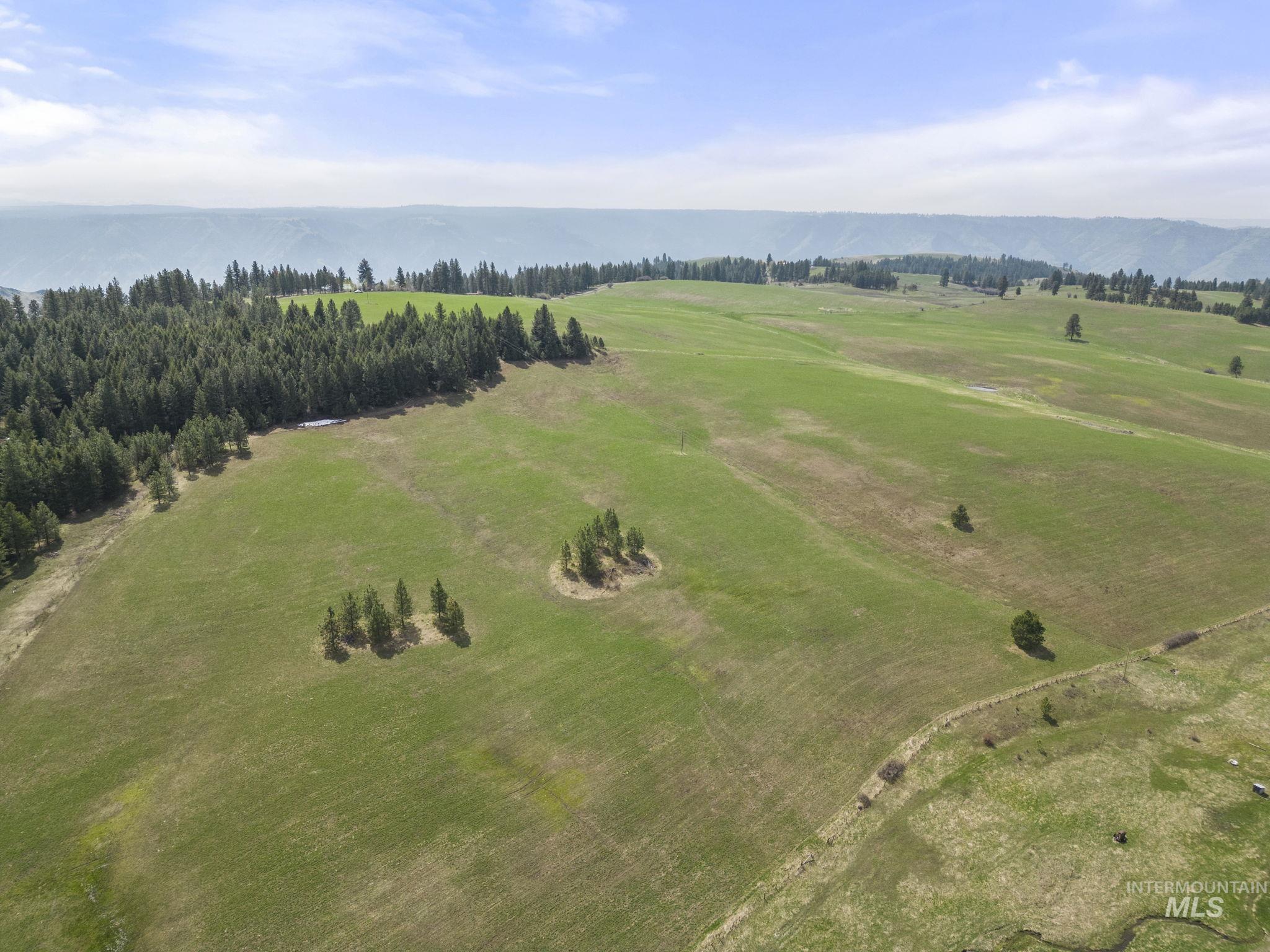 TBD Rieman Rd, CottonWood, Idaho 83522, Farm & Ranch For Sale, Price $800,000, 98864893