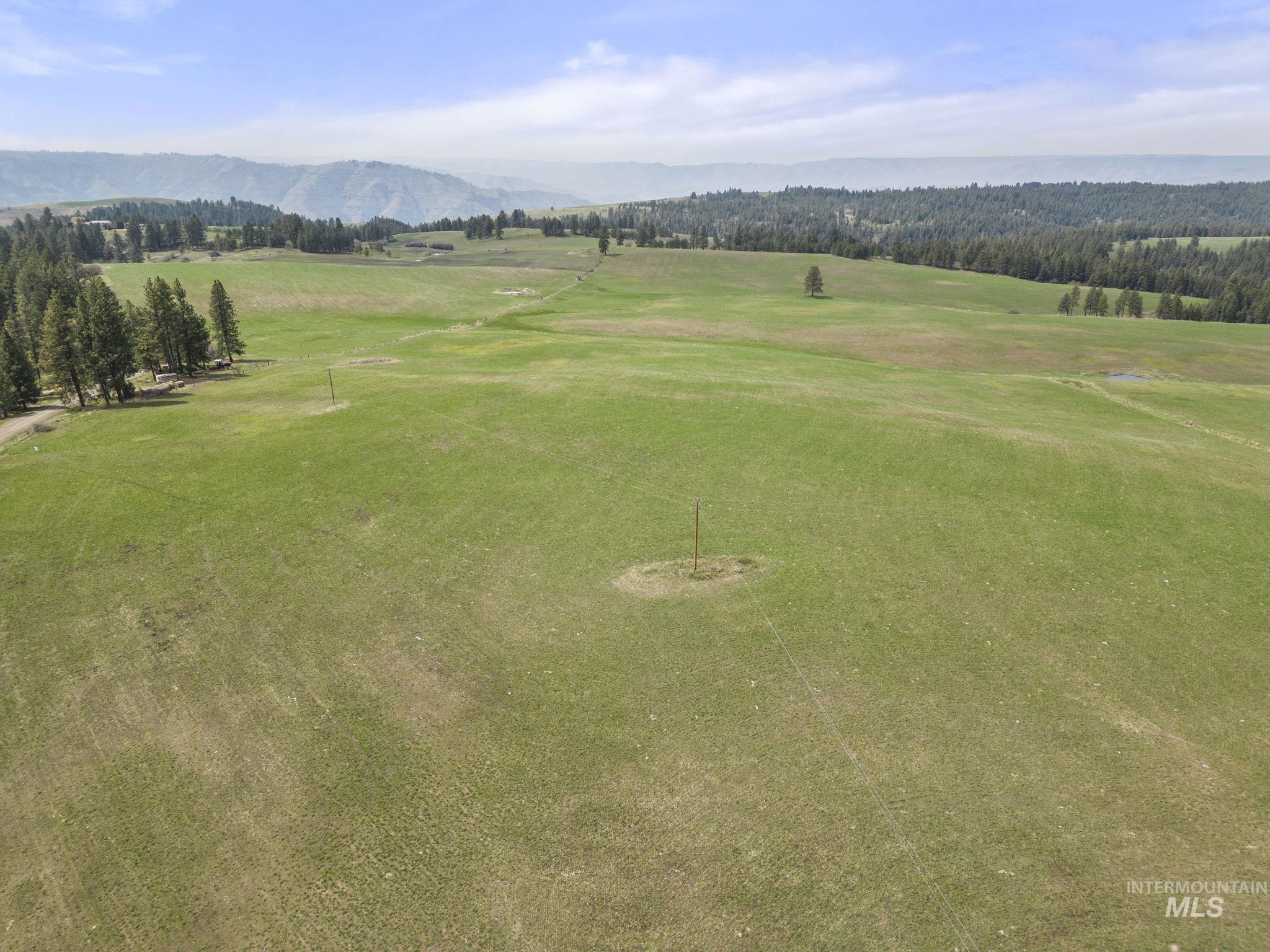 TBD Rieman Rd, CottonWood, Idaho 83522, Farm & Ranch For Sale, Price $800,000, 98864893