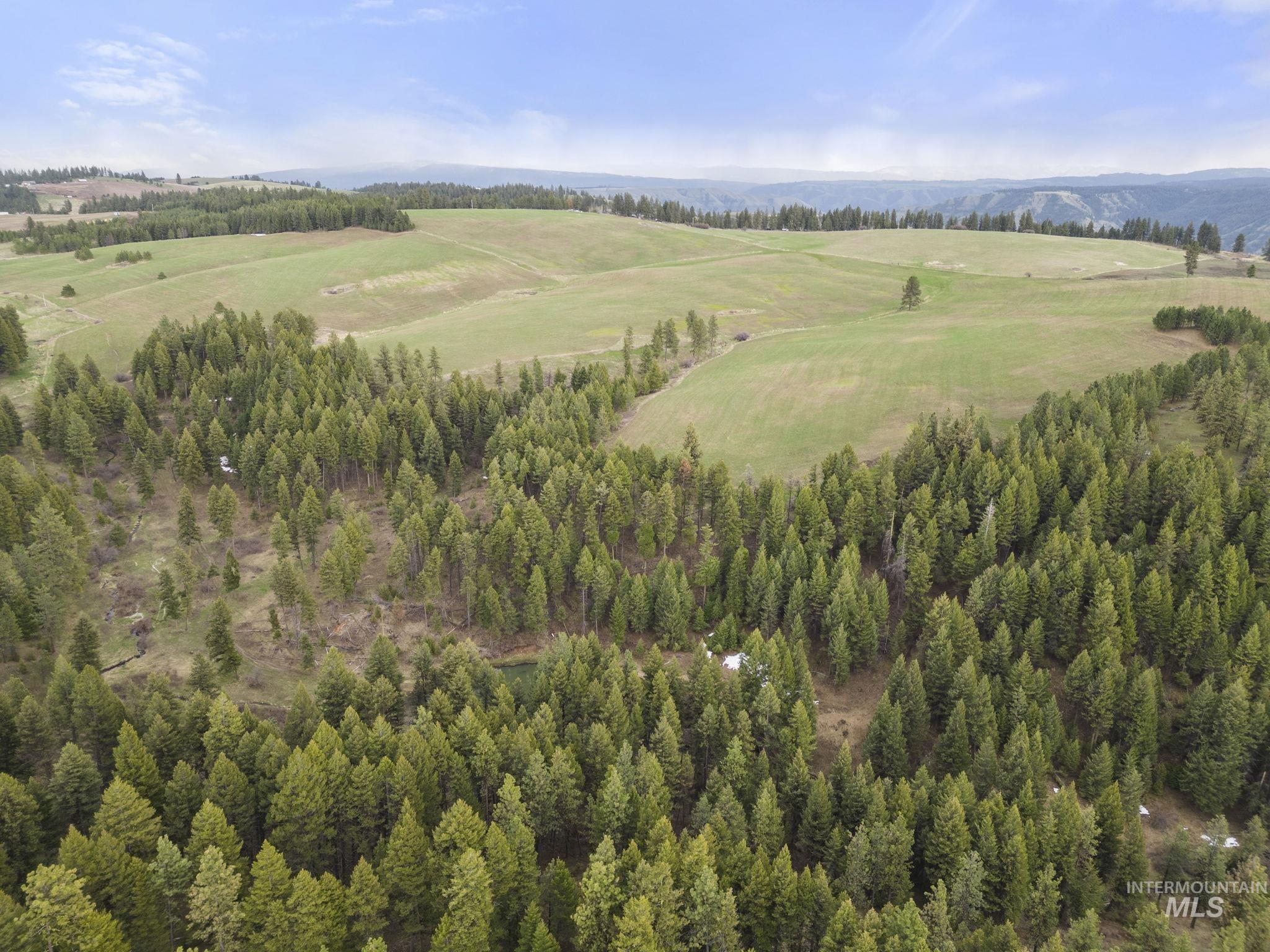 TBD Rieman Rd, CottonWood, Idaho 83522, Farm & Ranch For Sale, Price $800,000, 98864893