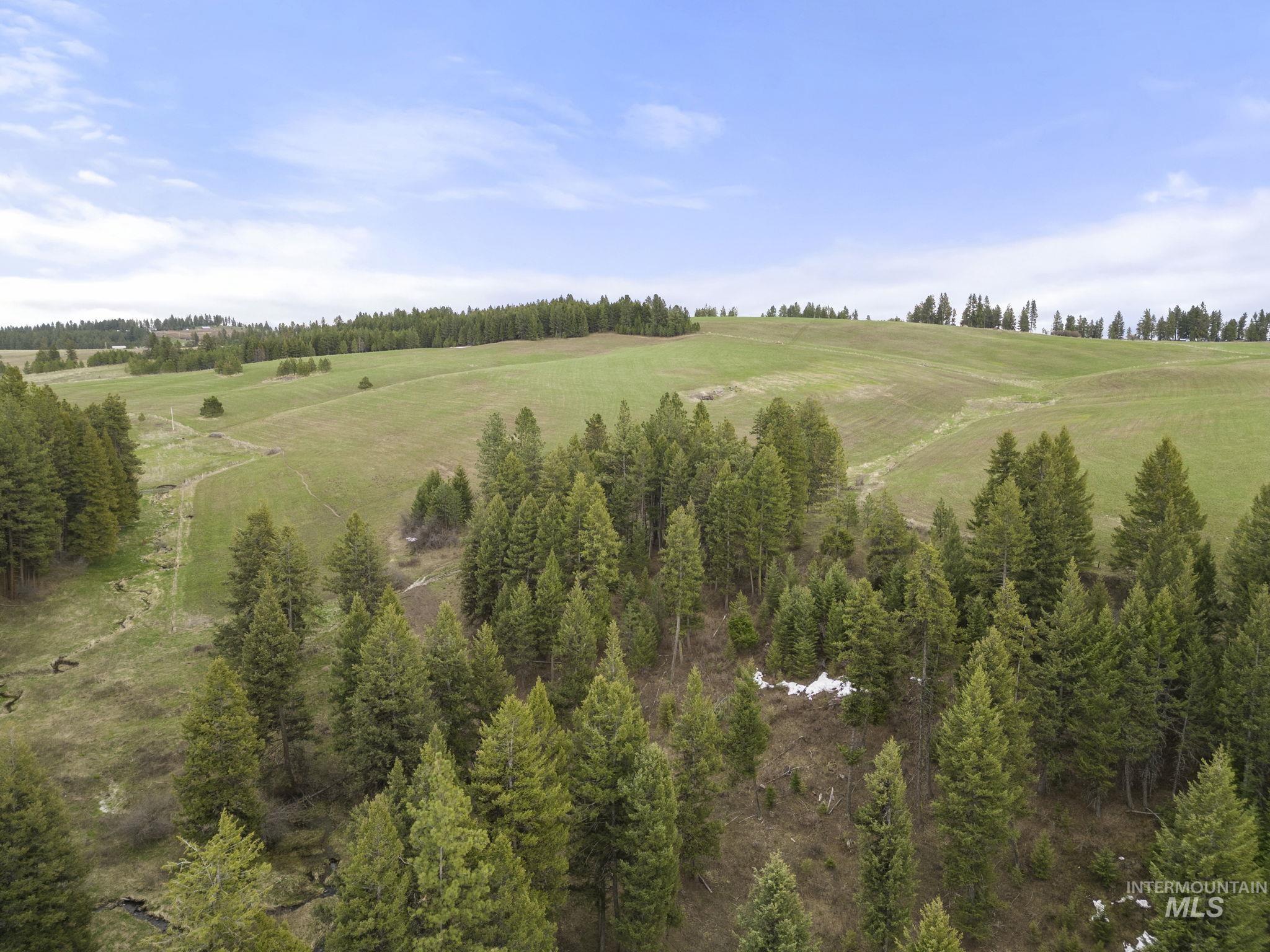 TBD Rieman Rd, CottonWood, Idaho 83522, Farm & Ranch For Sale, Price $800,000, 98864893