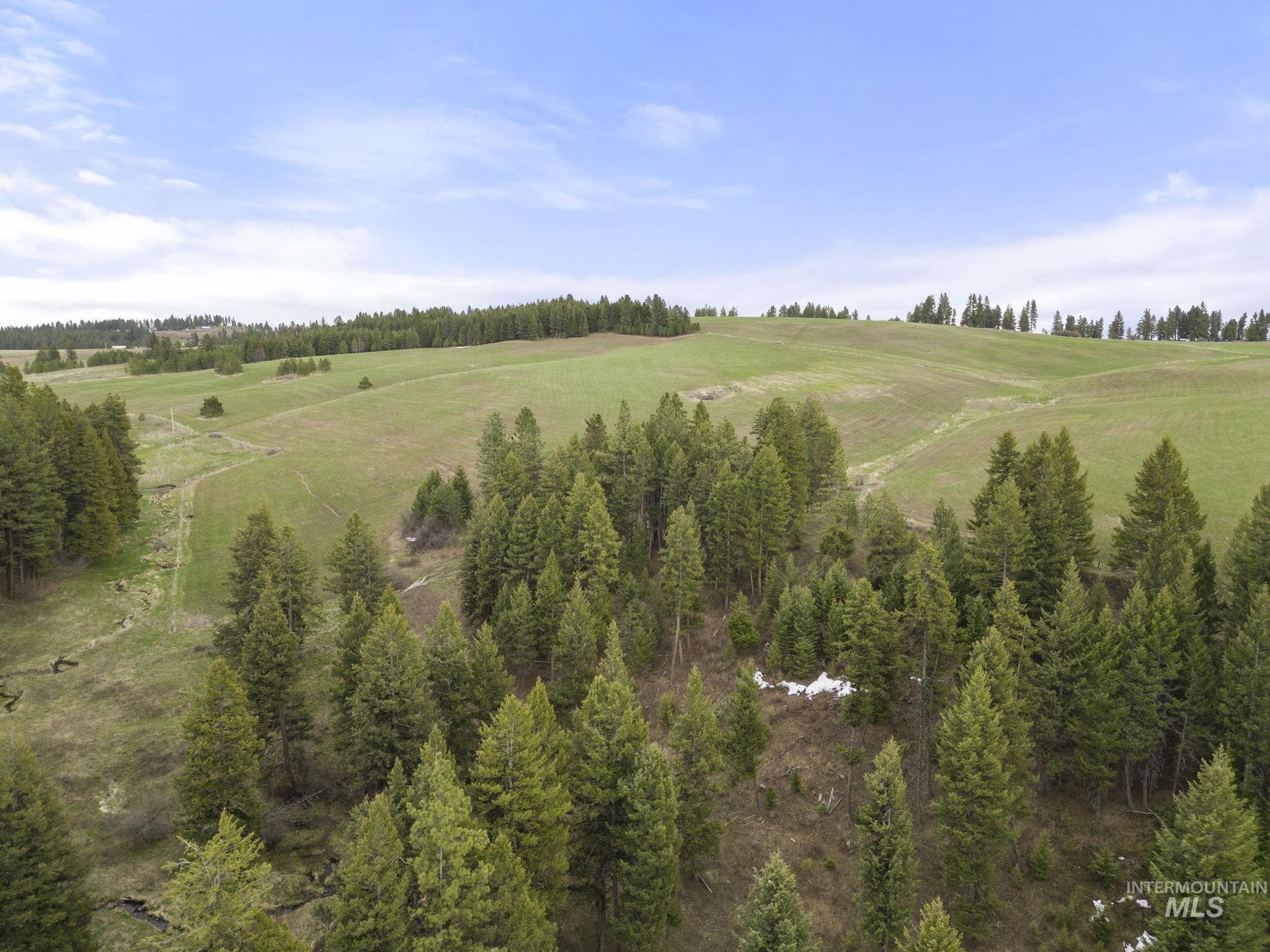 TBD Rieman Rd, CottonWood, Idaho 83522, Farm & Ranch For Sale, Price $800,000,MLS 98864893