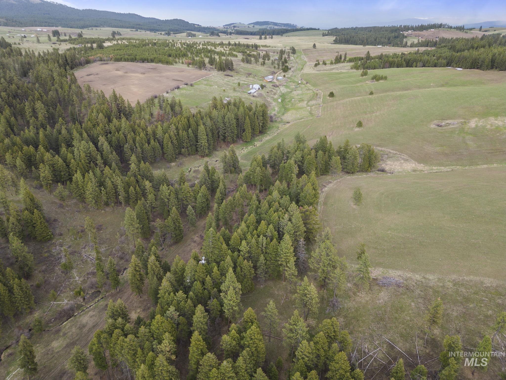 TBD Rieman Rd, CottonWood, Idaho 83522, Farm & Ranch For Sale, Price $800,000, 98864893