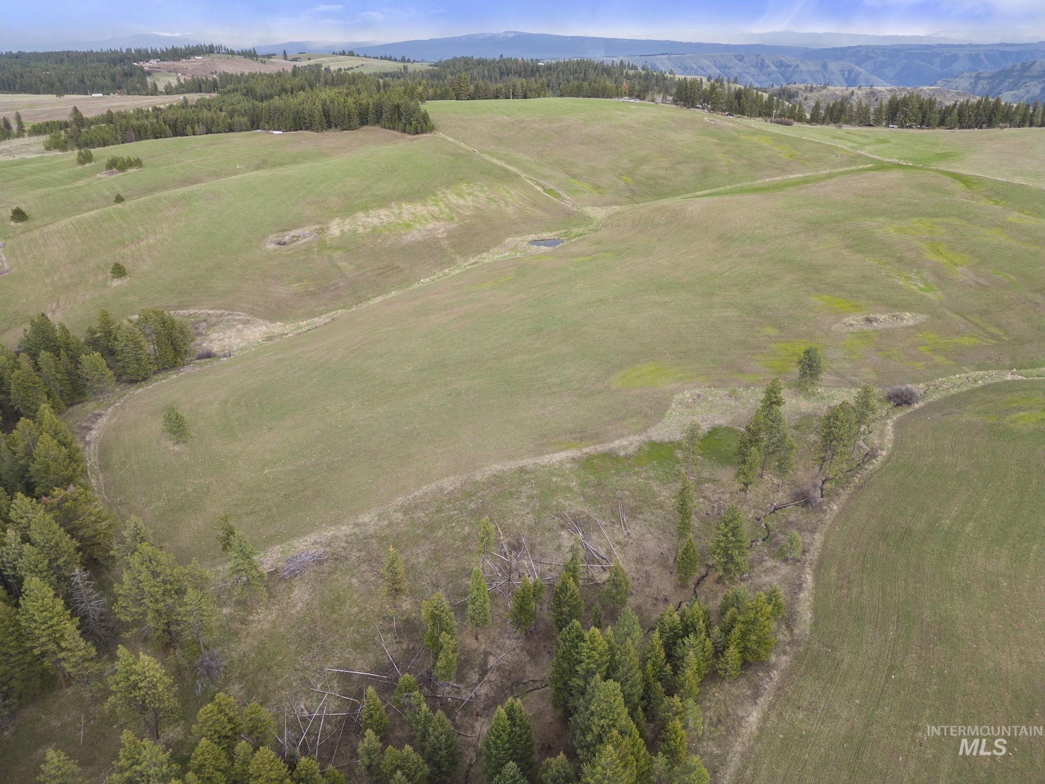 TBD Rieman Rd, CottonWood, Idaho 83522, Farm & Ranch For Sale, Price $800,000, 98864893