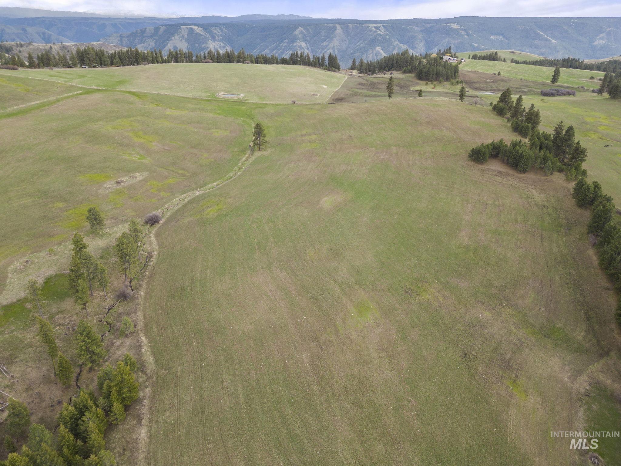 TBD Rieman Rd, CottonWood, Idaho 83522, Farm & Ranch For Sale, Price $800,000, 98864893