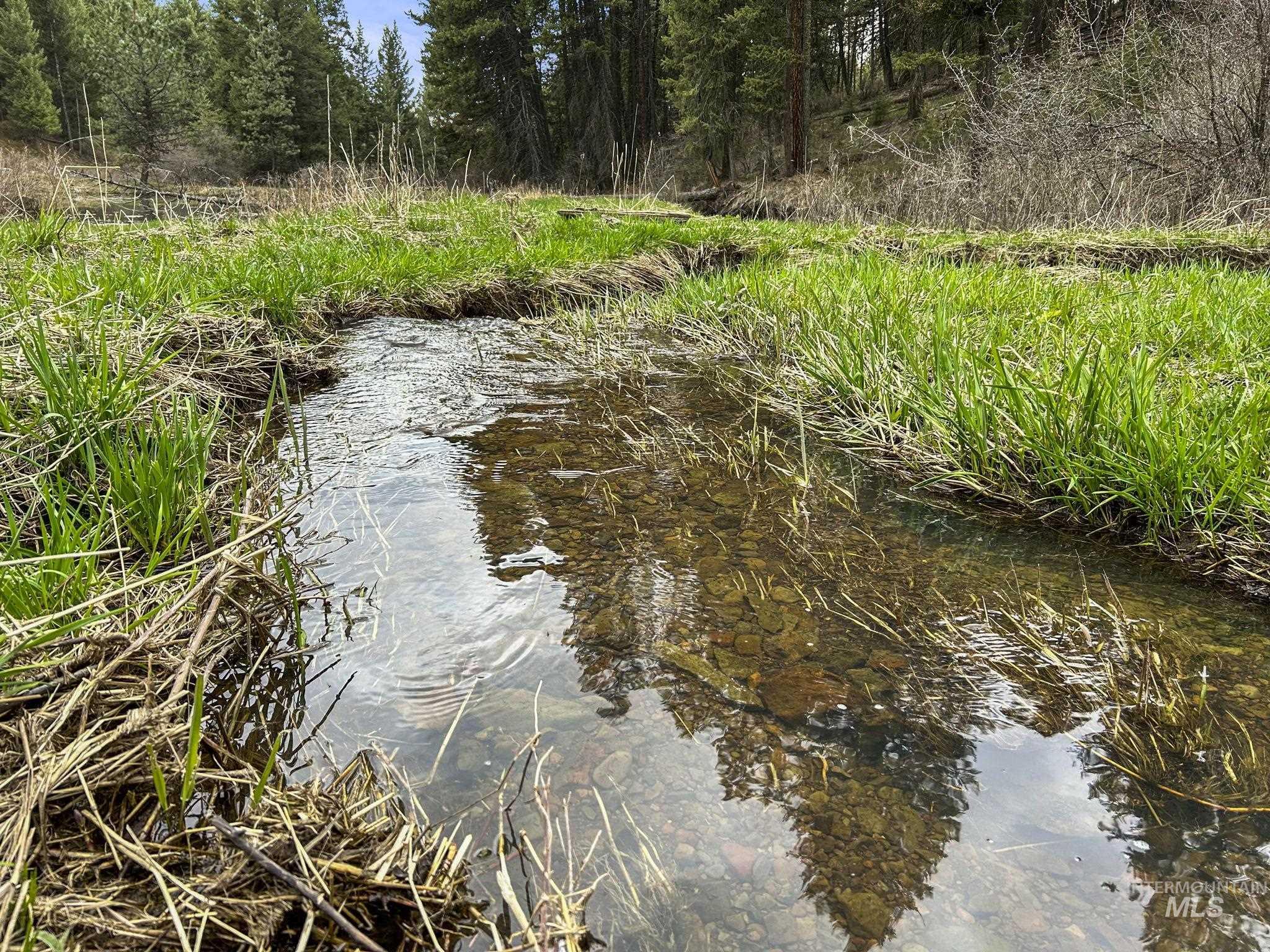 TBD Rieman Rd, CottonWood, Idaho 83522, Farm & Ranch For Sale, Price $800,000, 98864893
