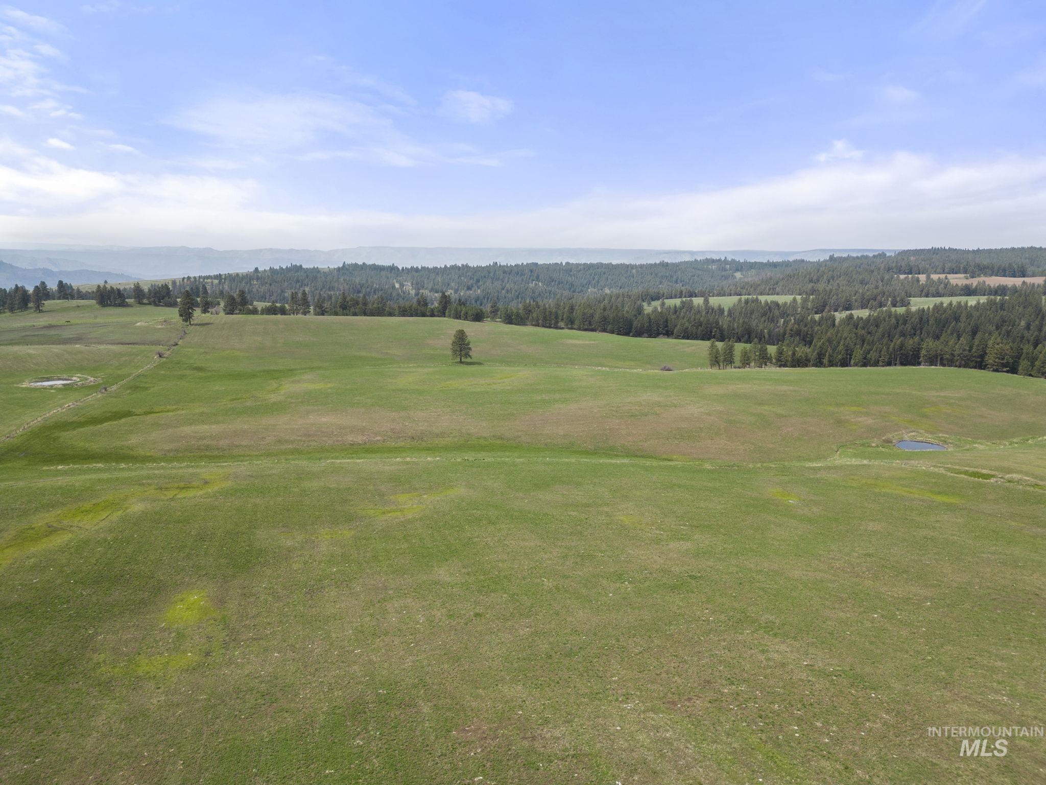TBD Rieman Rd, CottonWood, Idaho 83522, Farm & Ranch For Sale, Price $800,000, 98864893