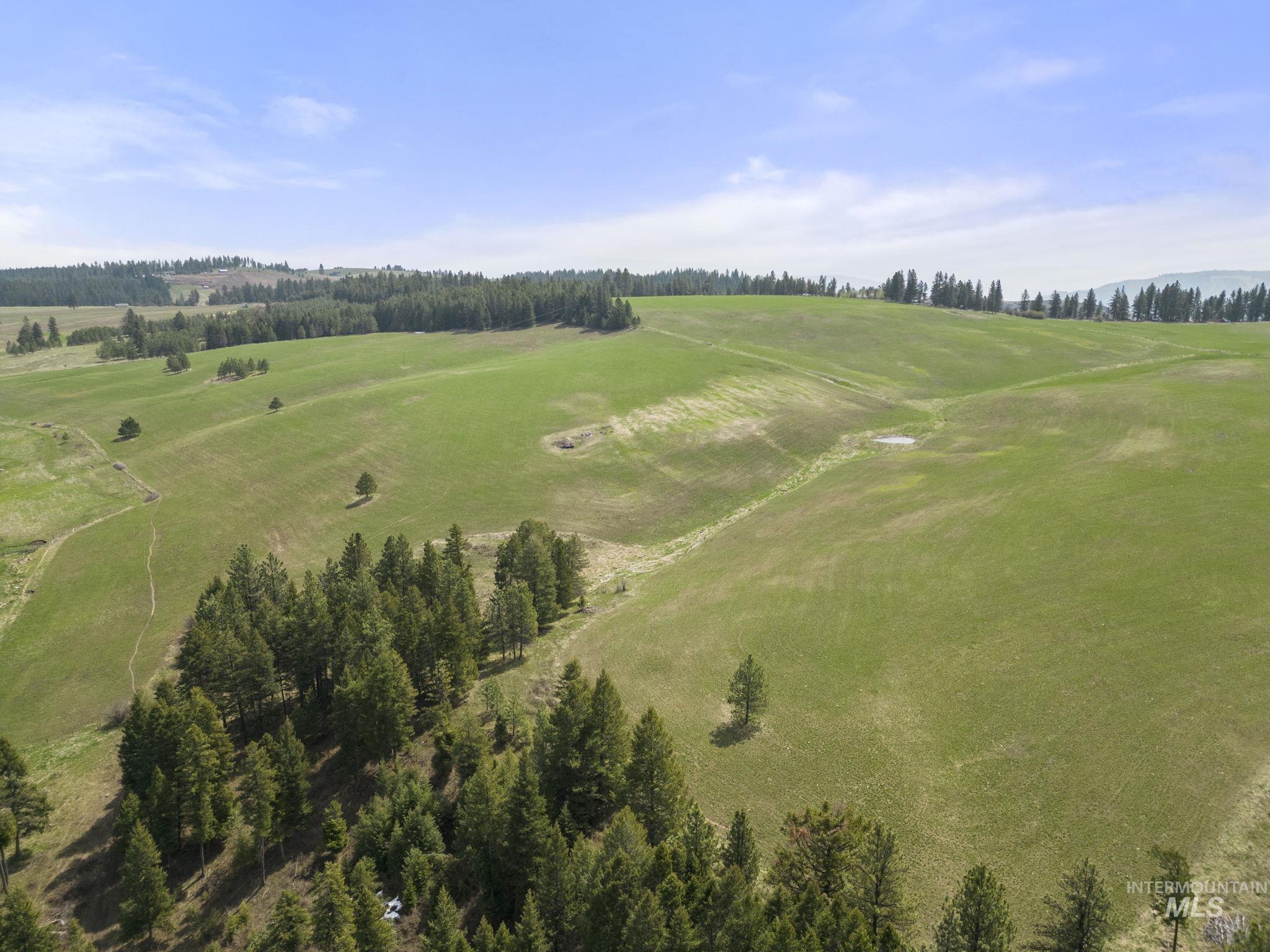 TBD Rieman Rd, CottonWood, Idaho 83522, Farm & Ranch For Sale, Price $800,000, 98864893