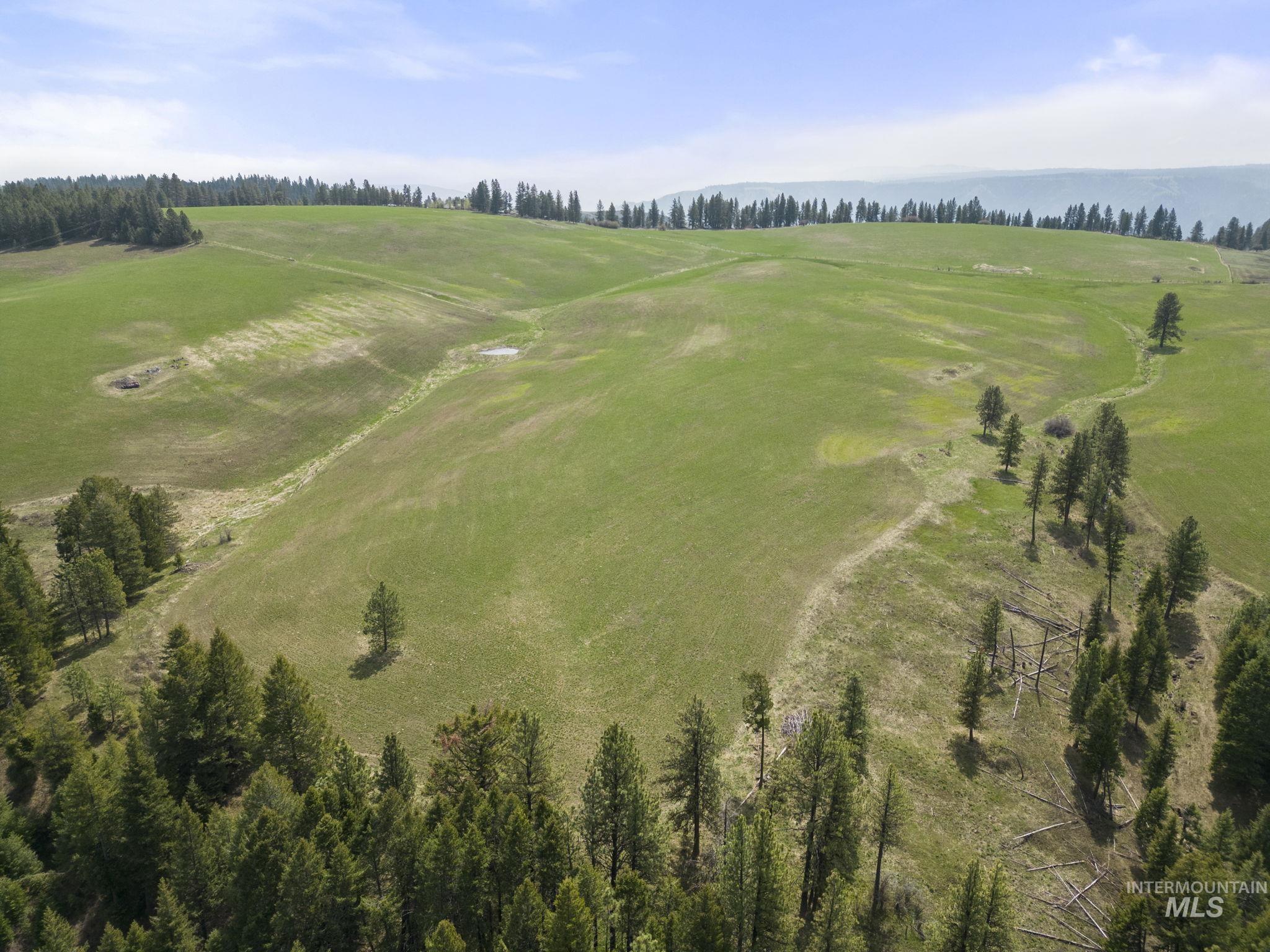 TBD Rieman Rd, CottonWood, Idaho 83522, Farm & Ranch For Sale, Price $800,000, 98864893