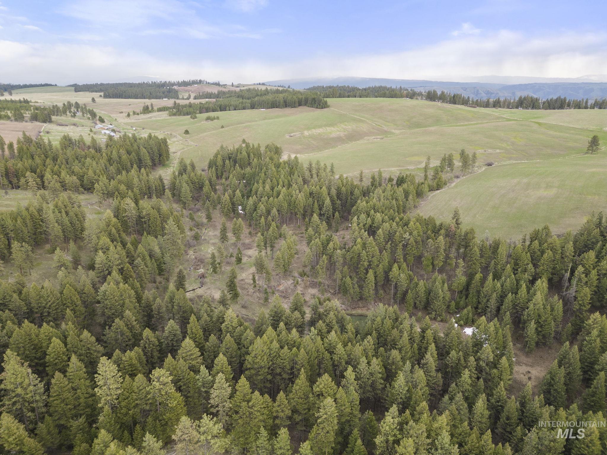 TBD Rieman Rd, CottonWood, Idaho 83522, Farm & Ranch For Sale, Price $800,000, 98864893
