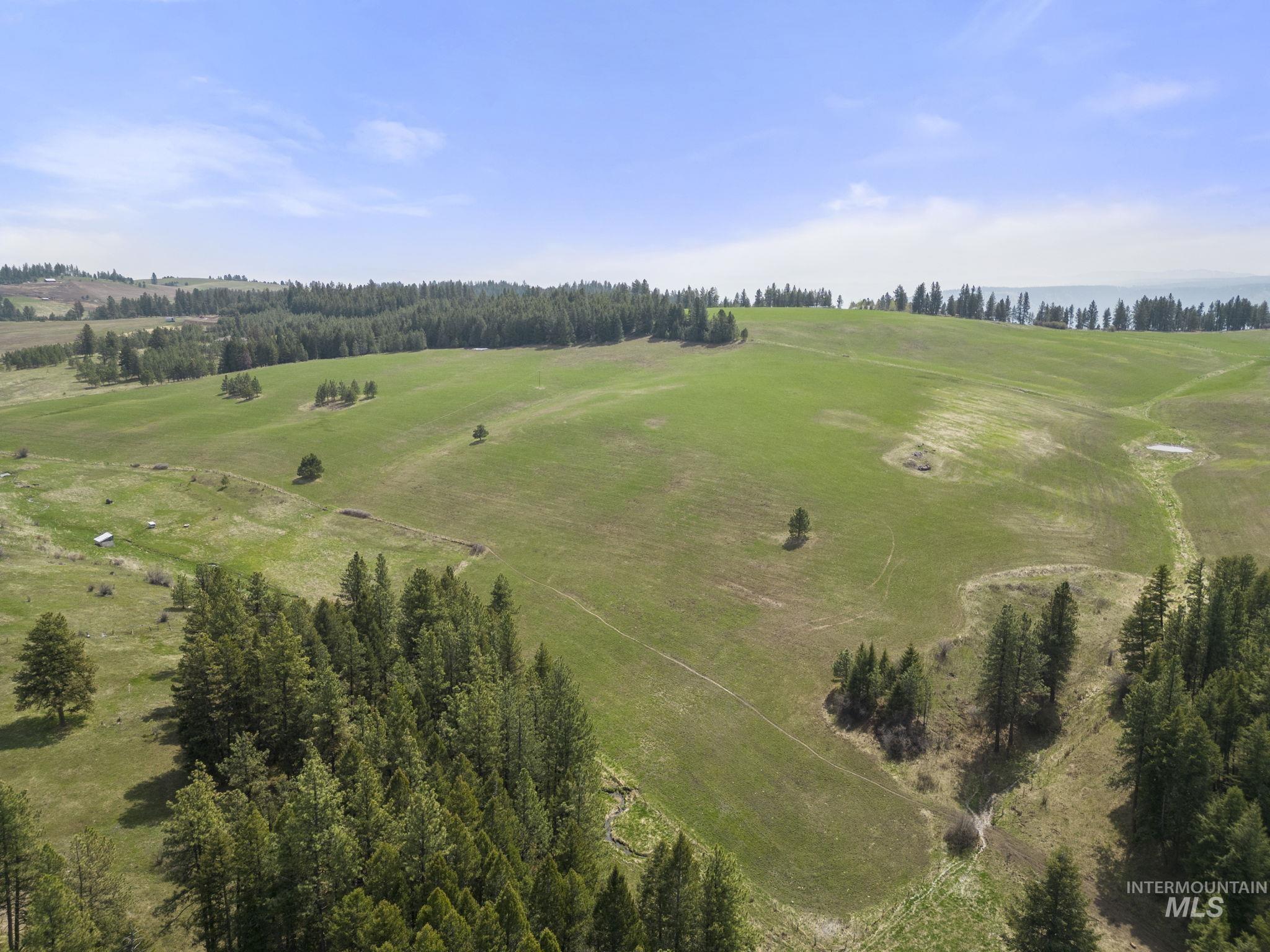 TBD Rieman Rd, CottonWood, Idaho 83522, Farm & Ranch For Sale, Price $800,000, 98864893