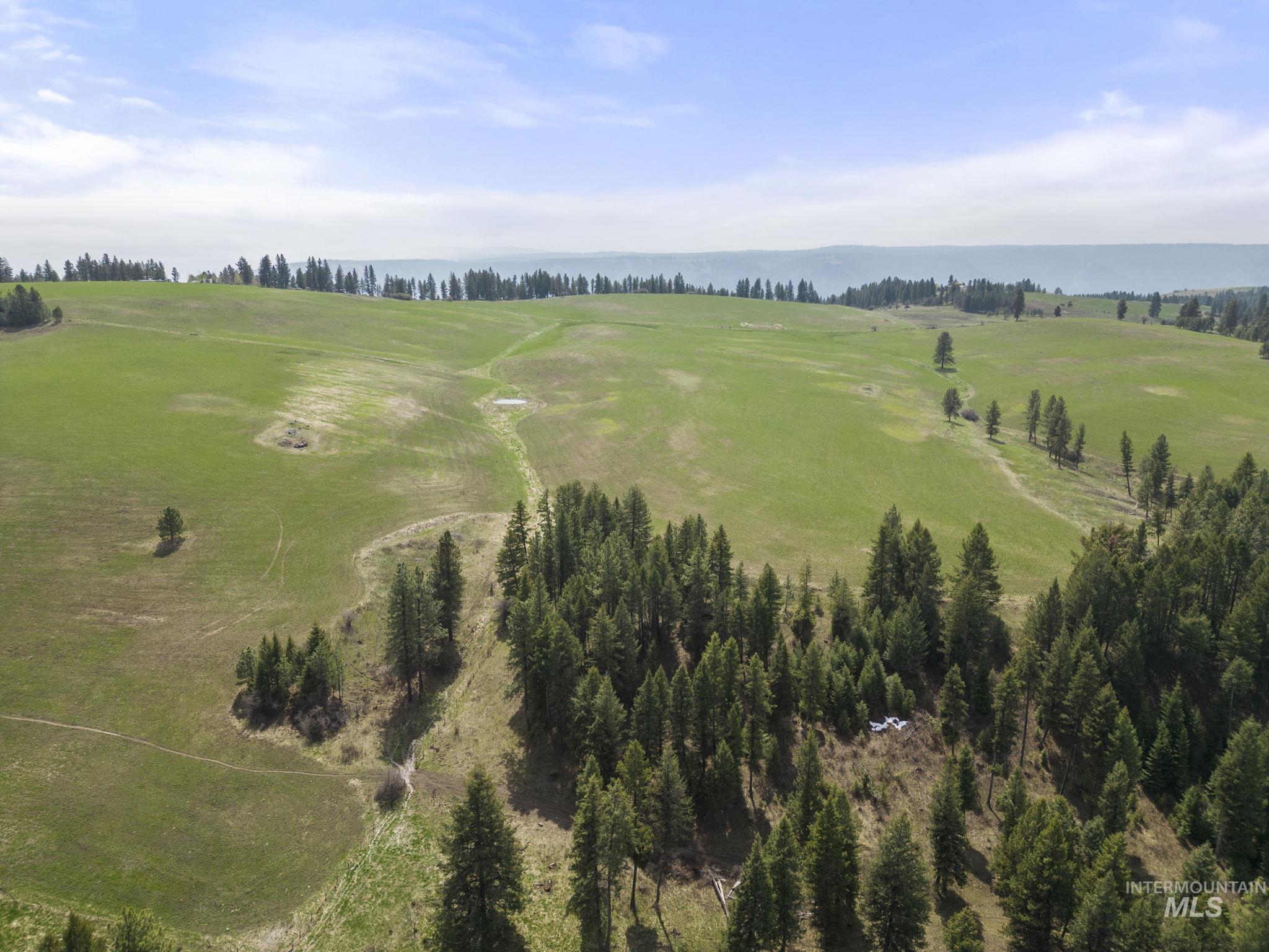 TBD Rieman Rd, CottonWood, Idaho 83522, Farm & Ranch For Sale, Price $800,000, 98864893