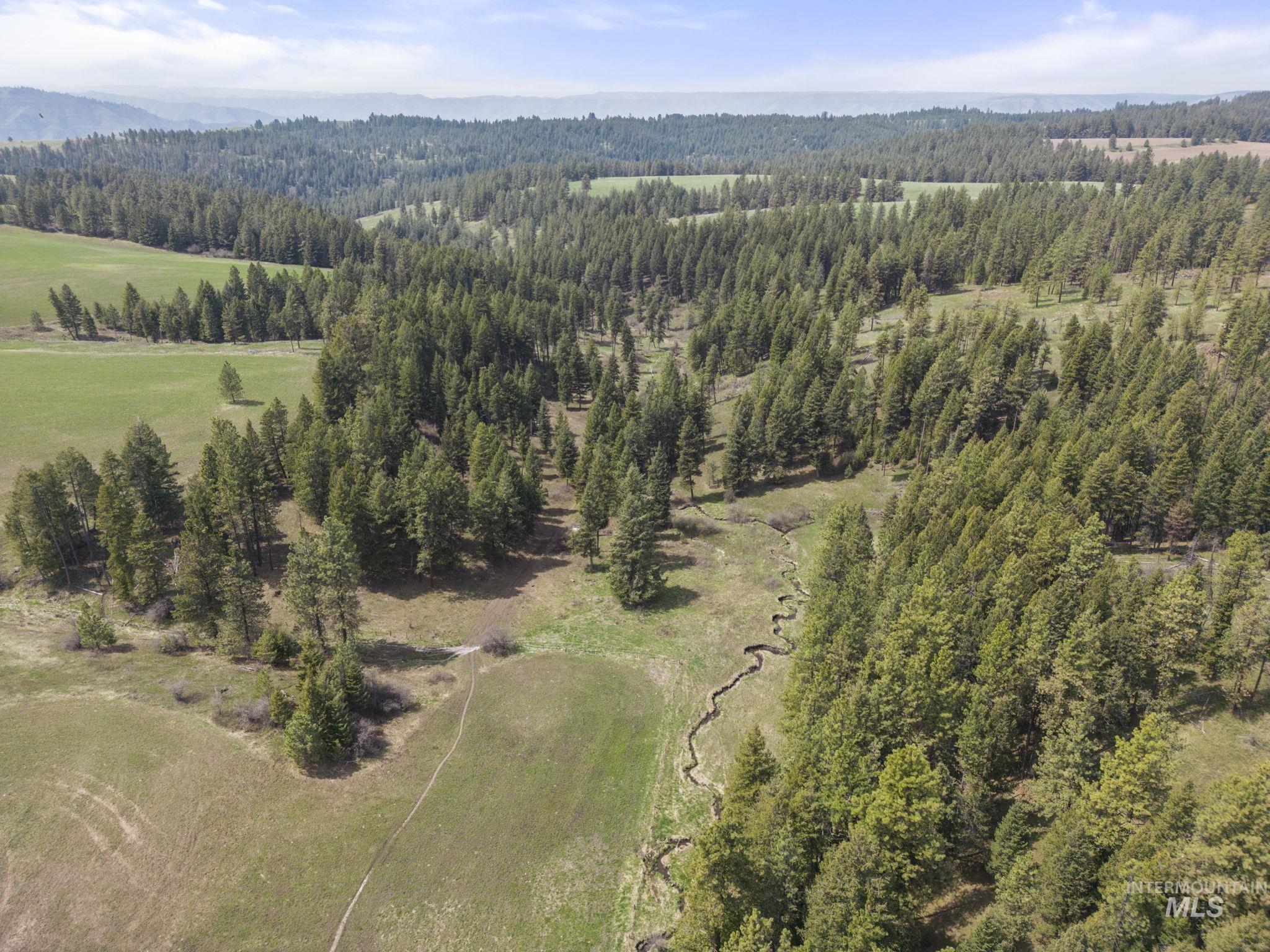 TBD Rieman Rd, CottonWood, Idaho 83522, Farm & Ranch For Sale, Price $800,000, 98864893