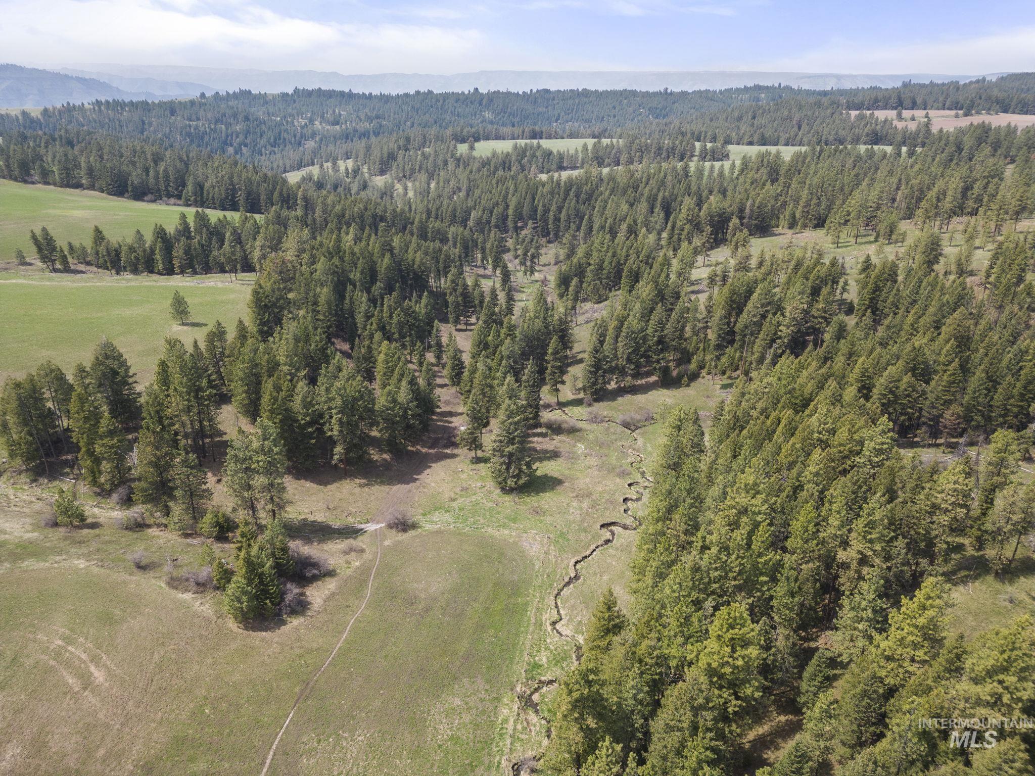 TBD Rieman Rd, CottonWood, Idaho 83522, Farm & Ranch For Sale, Price $800,000, 98864893