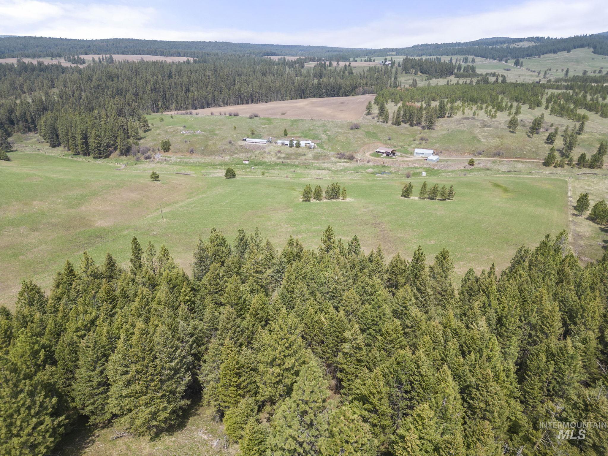 TBD Rieman Rd, CottonWood, Idaho 83522, Farm & Ranch For Sale, Price $800,000, 98864893