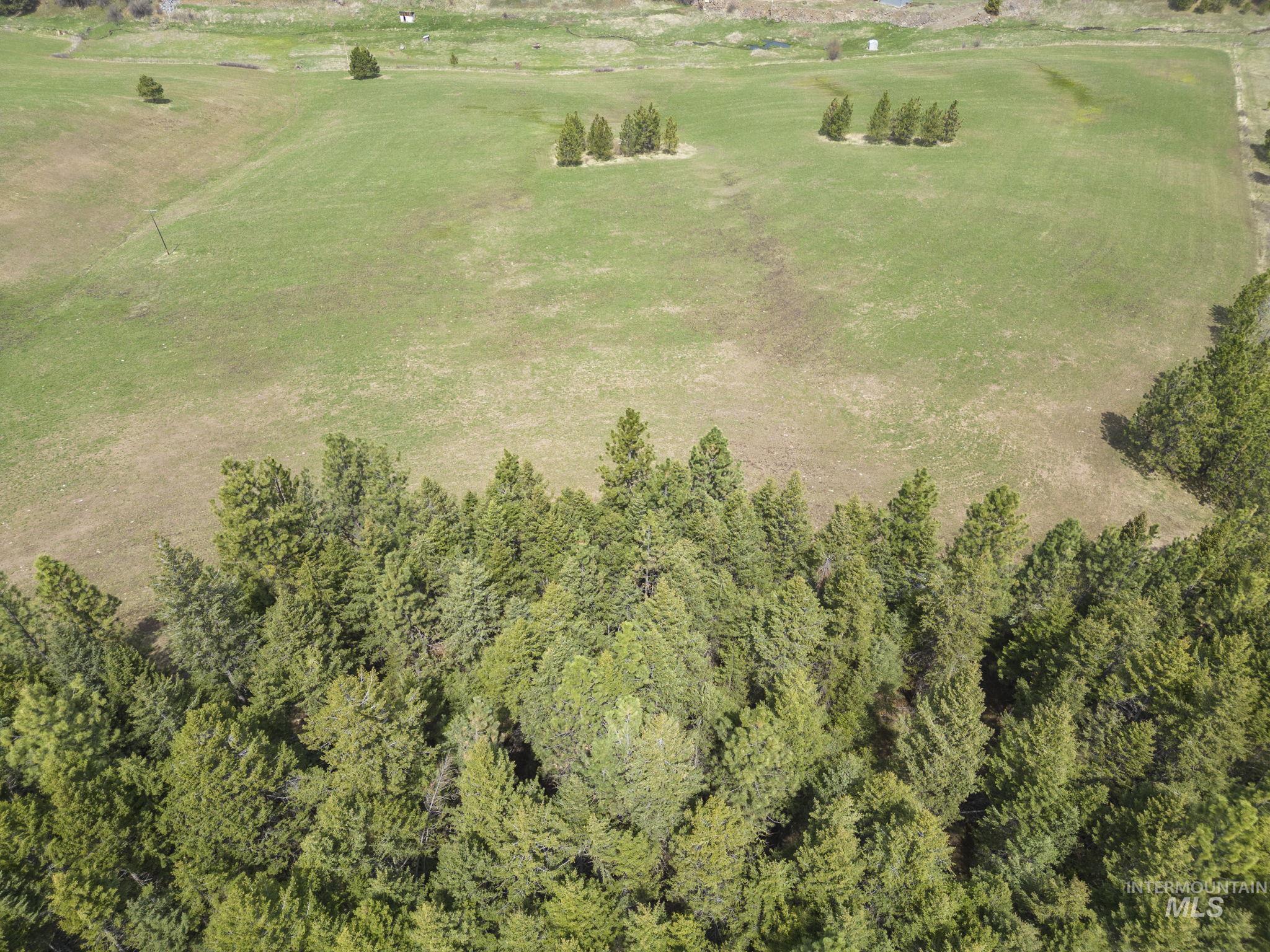 TBD Rieman Rd, CottonWood, Idaho 83522, Farm & Ranch For Sale, Price $800,000, 98864893