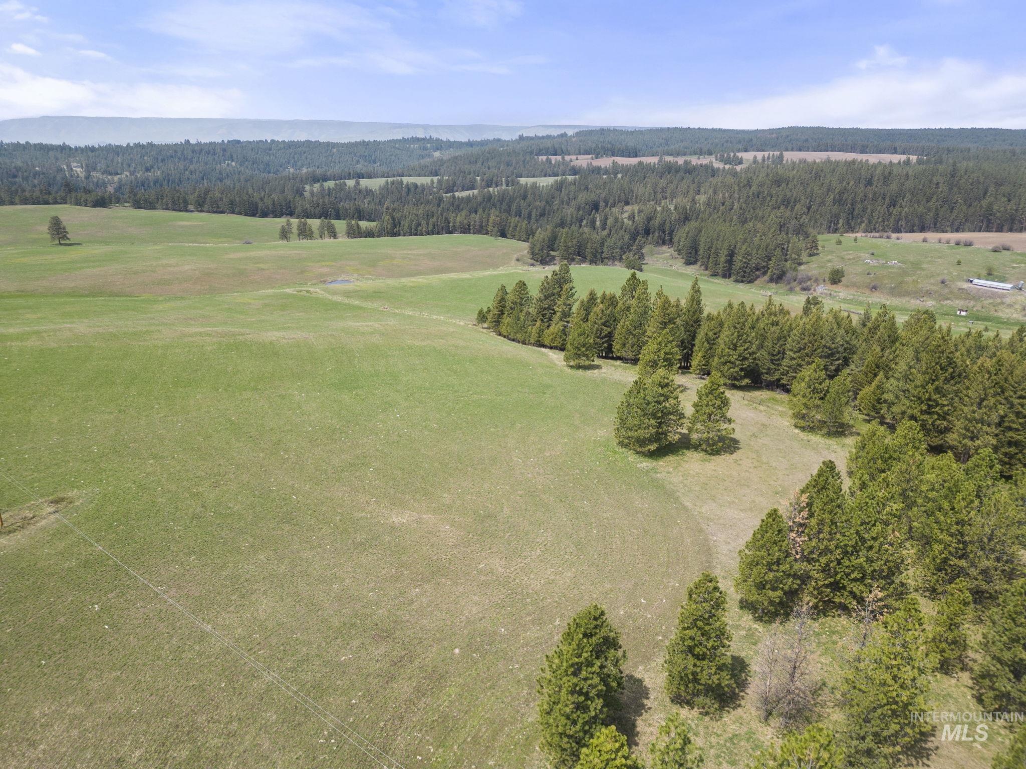TBD Rieman Rd, CottonWood, Idaho 83522, Farm & Ranch For Sale, Price $800,000, 98864893