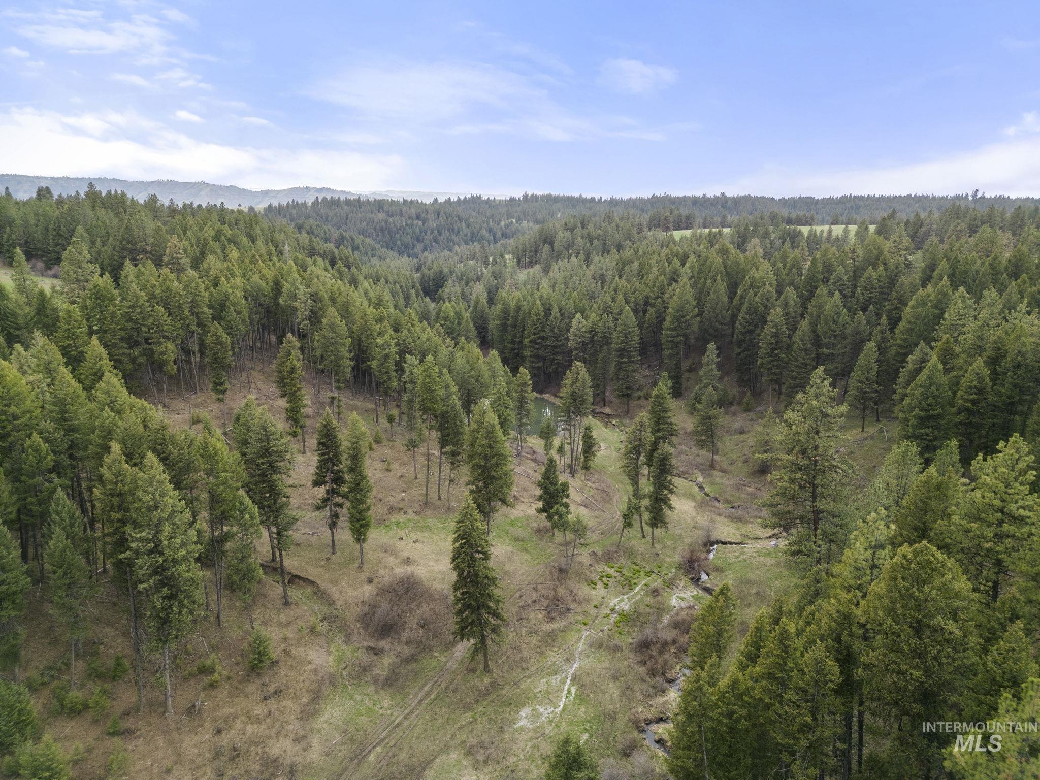 TBD Rieman Rd, CottonWood, Idaho 83522, Farm & Ranch For Sale, Price $800,000, 98864893