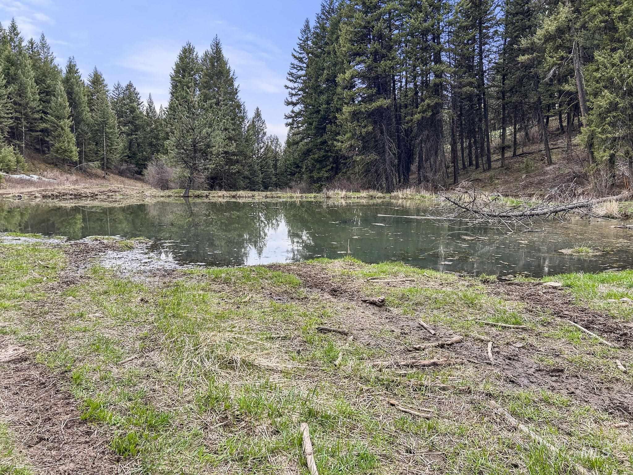 TBD Rieman Rd, CottonWood, Idaho 83522, Farm & Ranch For Sale, Price $800,000, 98864893