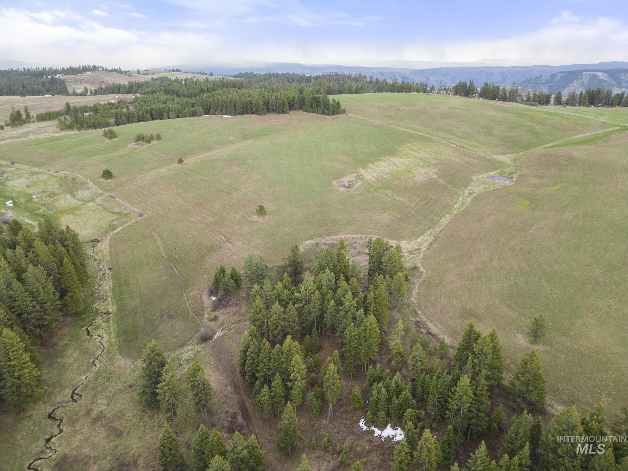 TBD Rieman Rd, CottonWood, Idaho 83522, Farm & Ranch For Sale, Price $800,000, 98864893