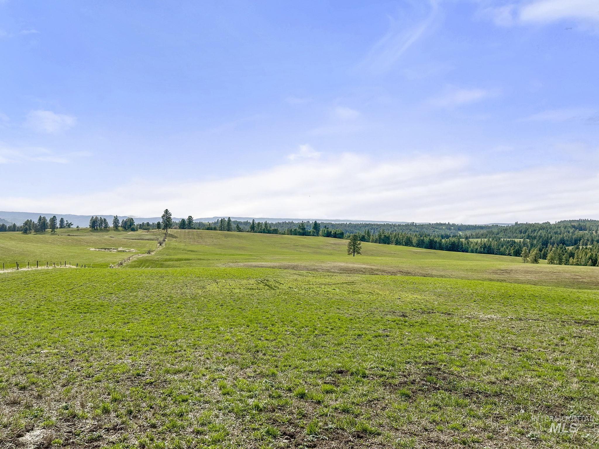 TBD Rieman Rd, CottonWood, Idaho 83522, Farm & Ranch For Sale, Price $800,000, 98864893