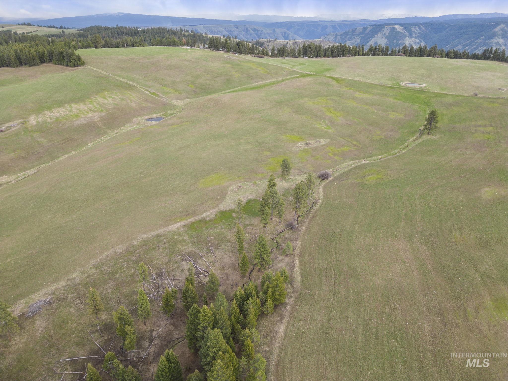 TBD Rieman Rd, CottonWood, Idaho 83522, Land For Sale, Price $800,000, 98864895