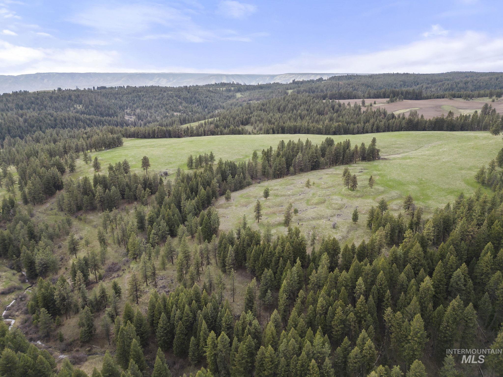 TBD Rieman Rd, CottonWood, Idaho 83522, Land For Sale, Price $800,000,MLS 98864895