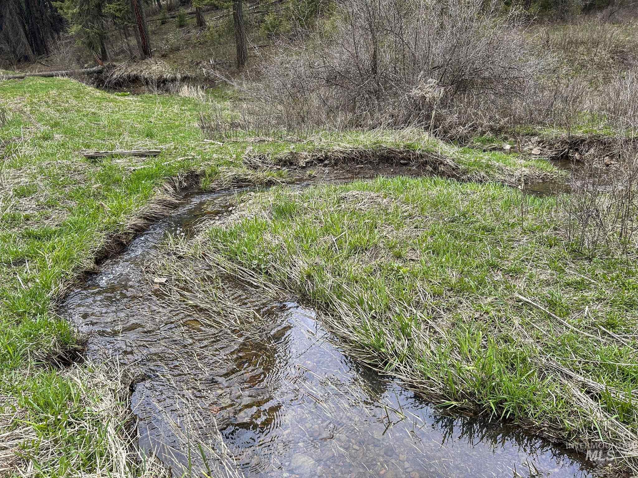 TBD Rieman Rd, CottonWood, Idaho 83522, Land For Sale, Price $800,000, 98864895