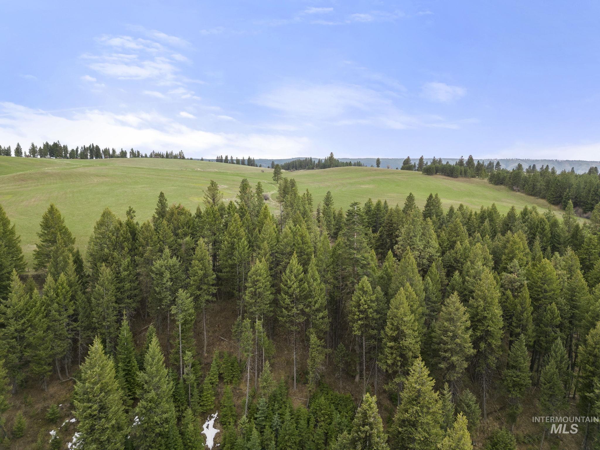 TBD Rieman Rd, CottonWood, Idaho 83522, Land For Sale, Price $800,000, 98864895
