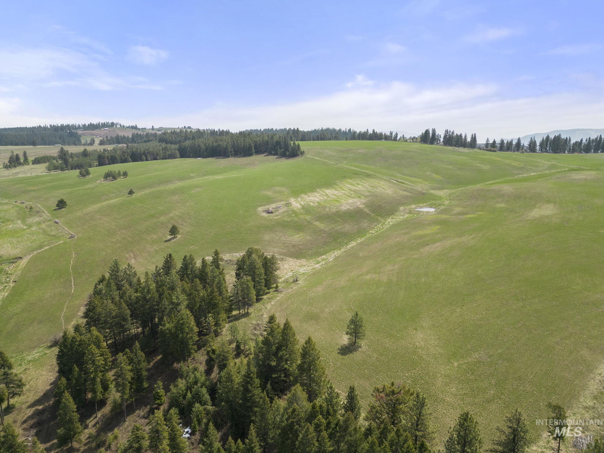 TBD Rieman Rd, CottonWood, Idaho 83522, Land For Sale, Price $800,000, 98864895