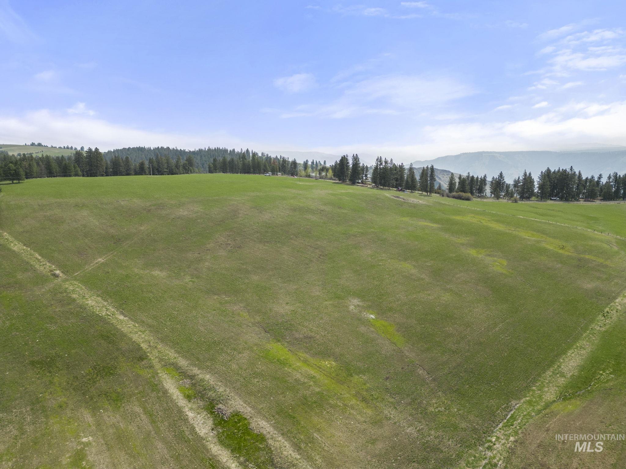TBD Rieman Rd, CottonWood, Idaho 83522, Land For Sale, Price $800,000, 98864895