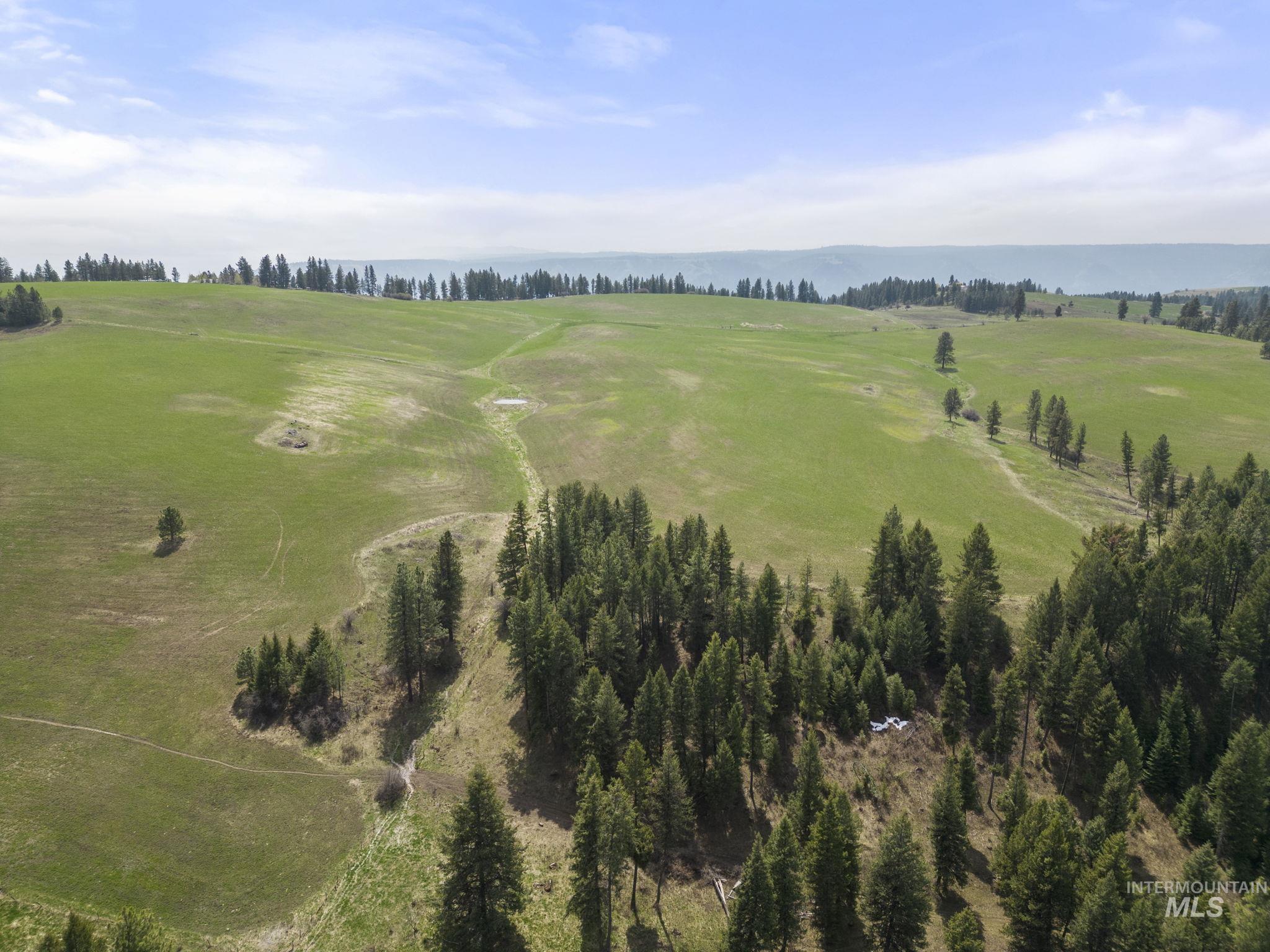 TBD Rieman Rd, CottonWood, Idaho 83522, Land For Sale, Price $800,000,MLS 98864895