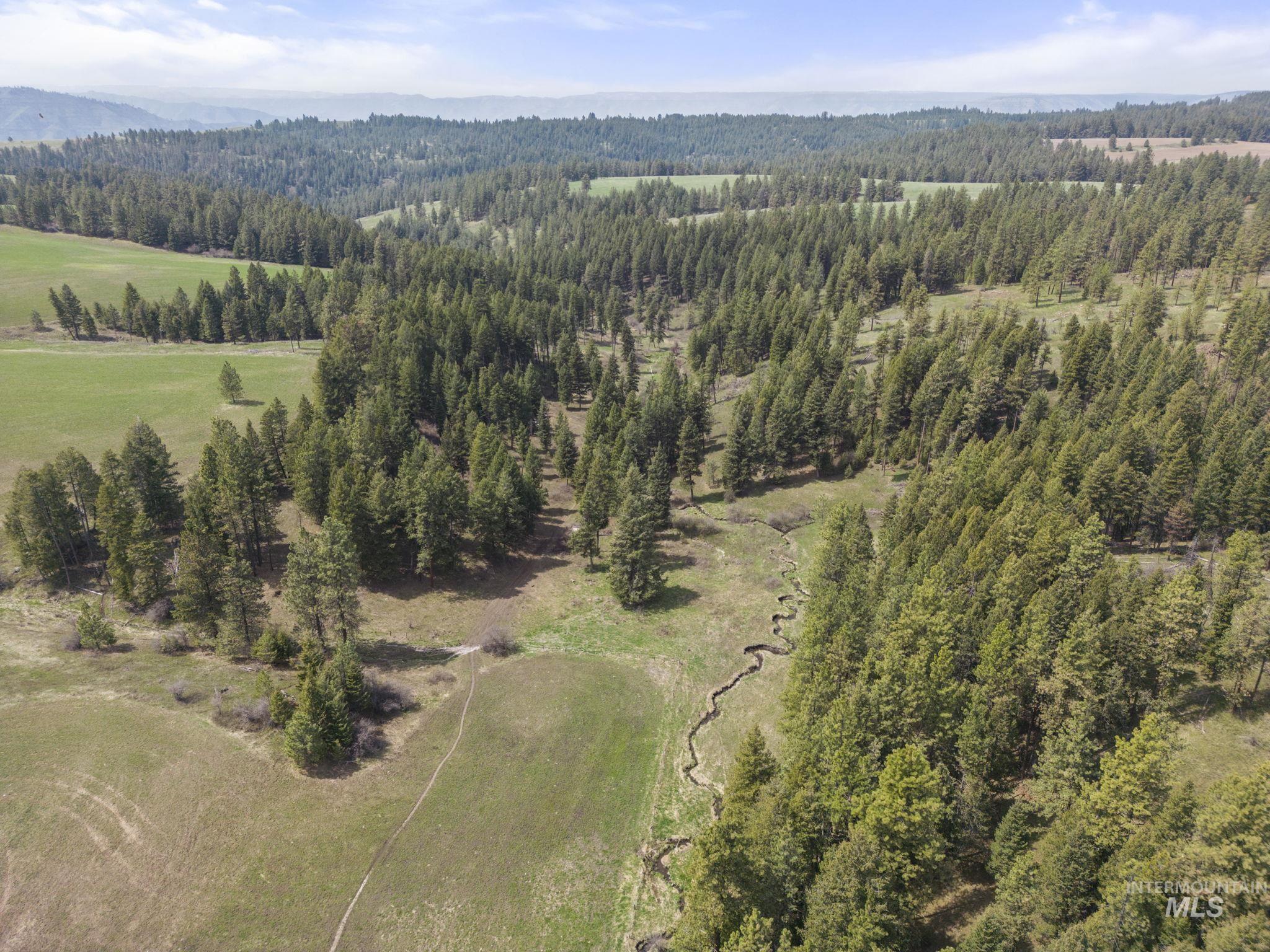 TBD Rieman Rd, CottonWood, Idaho 83522, Land For Sale, Price $800,000,MLS 98864895