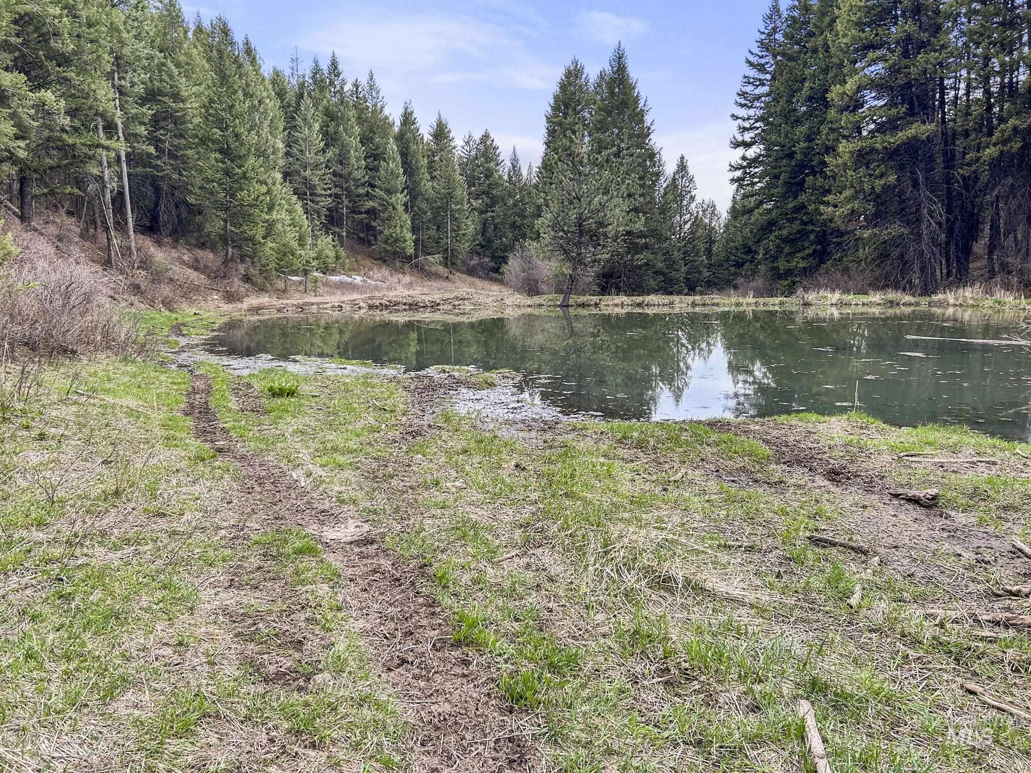 TBD Rieman Rd, CottonWood, Idaho 83522, Land For Sale, Price $800,000,MLS 98864895