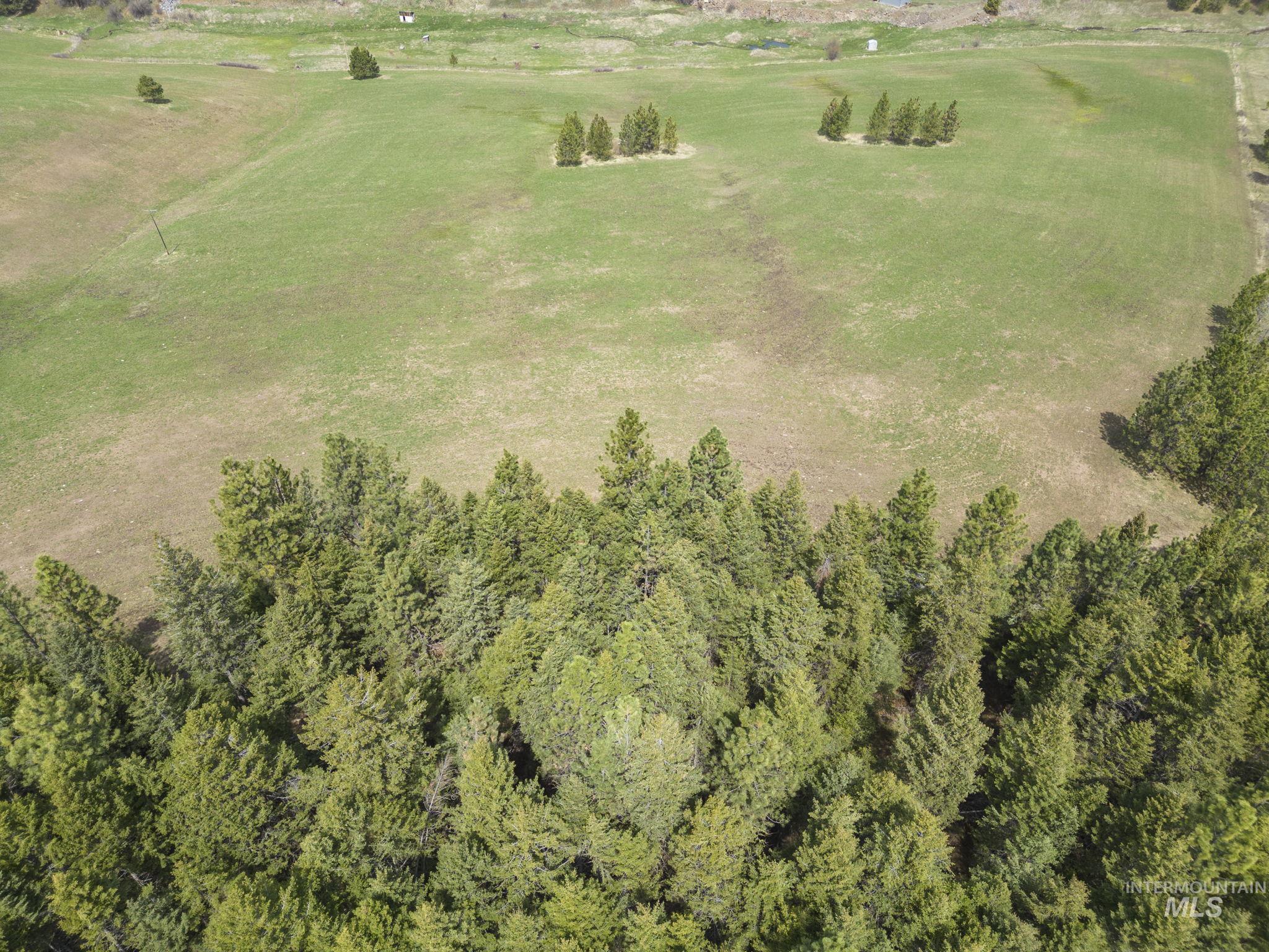 TBD Rieman Rd, CottonWood, Idaho 83522, Land For Sale, Price $800,000,MLS 98864895