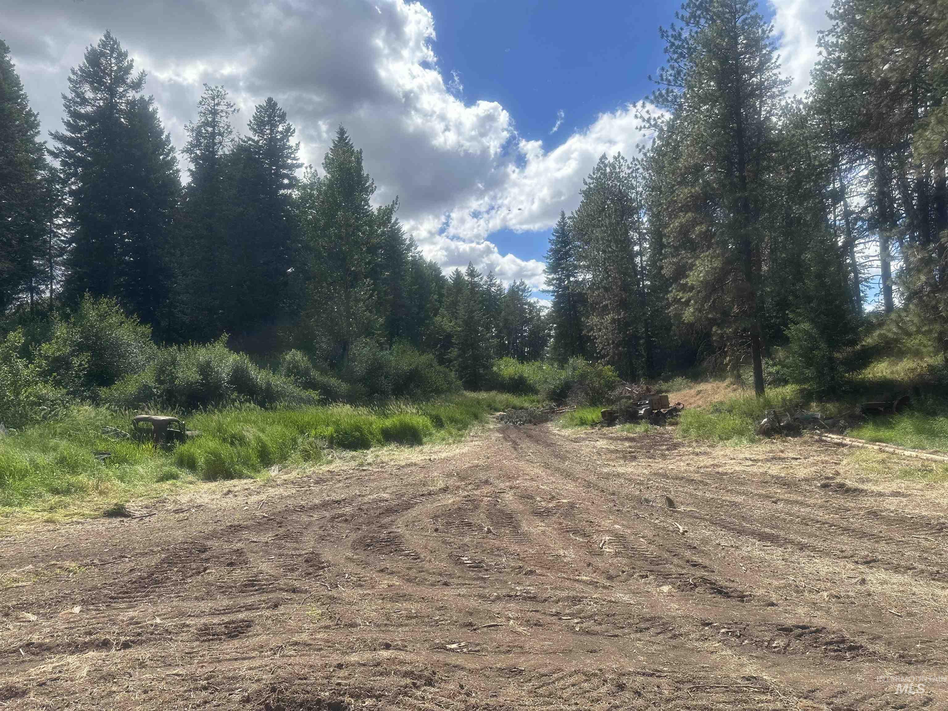 NKA 20.01ac Teacup Lane, Cavendish, Idaho 83541, Land For Sale, Price $269,000, 98865855