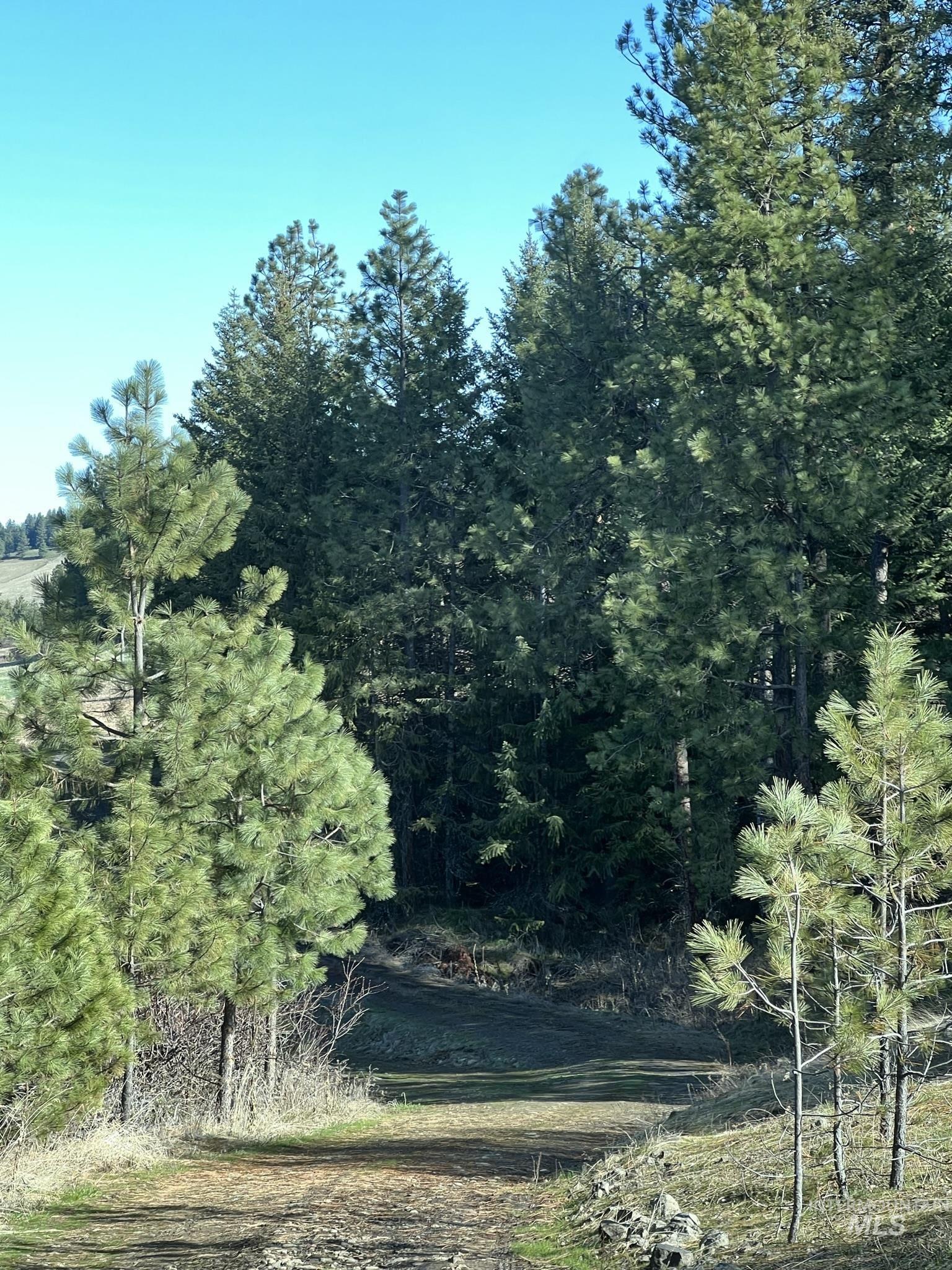 NKA 20.01ac Teacup Lane, Cavendish, Idaho 83541, Land For Sale, Price $269,000,MLS 98865855