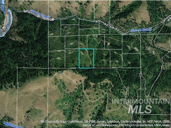 567 Lightning Creek Rd., Harpster, Idaho 83552, Land For Sale, Price $99,000,MLS 98866368