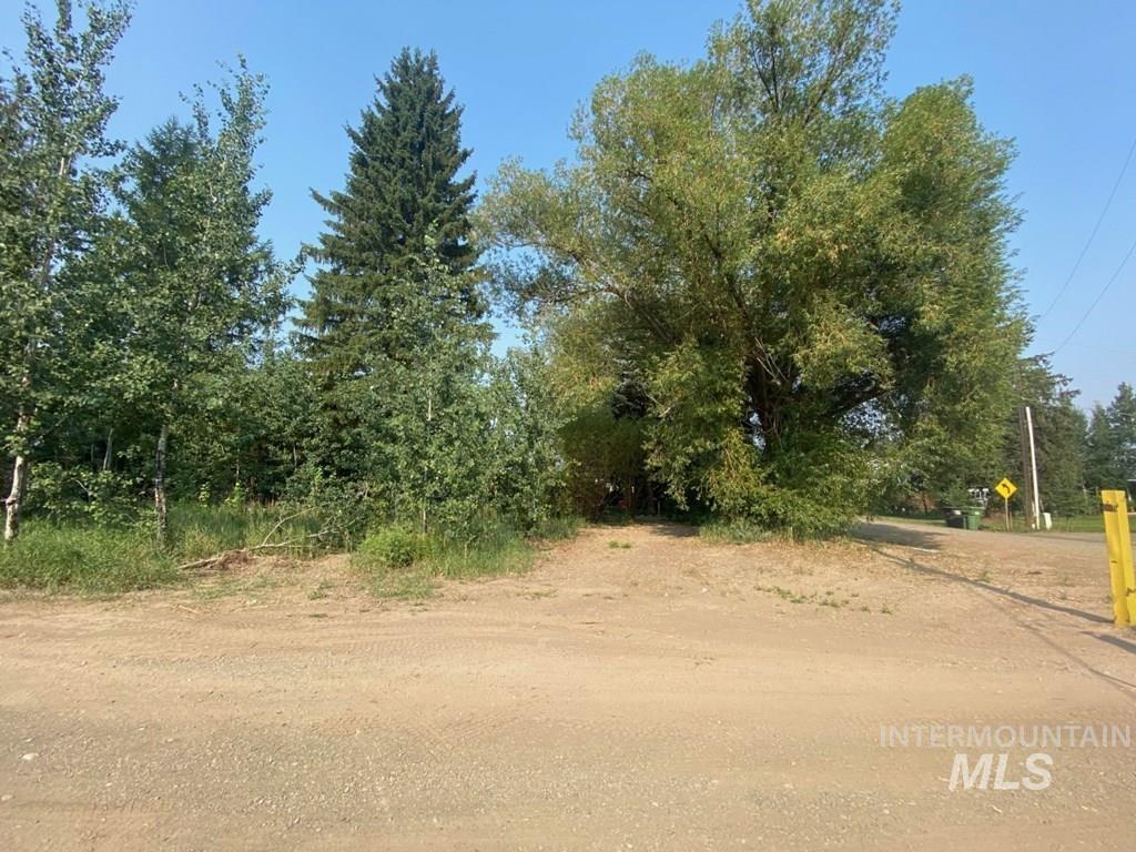 141 W State Street, Donnelly, Idaho 83615, Land For Sale, Price $145,000, 98868776