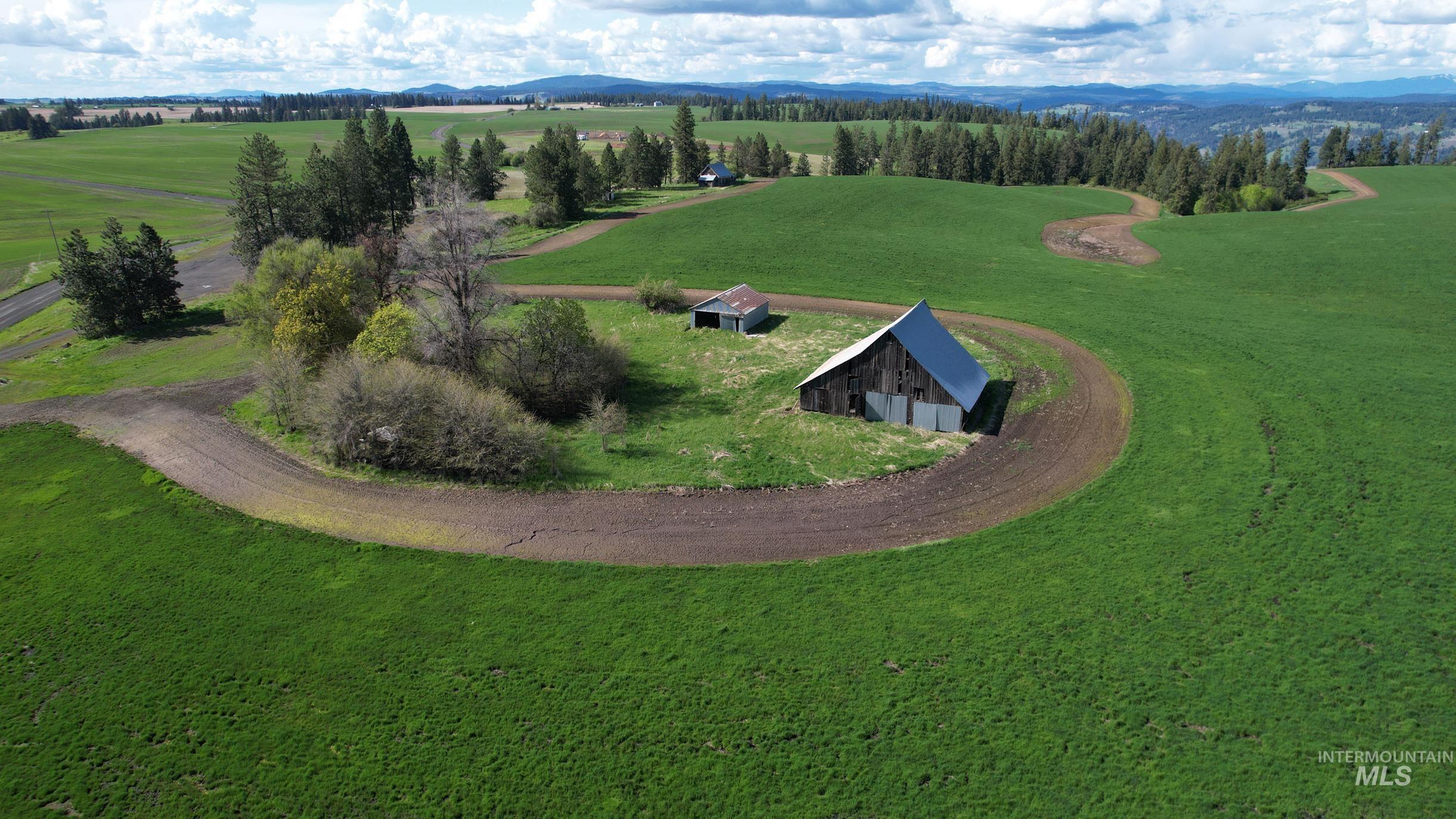 TBD Gilbert Grade Road, Orofino, Idaho 83544, Farm & Ranch For Sale, Price $1,372,500,MLS 98869387