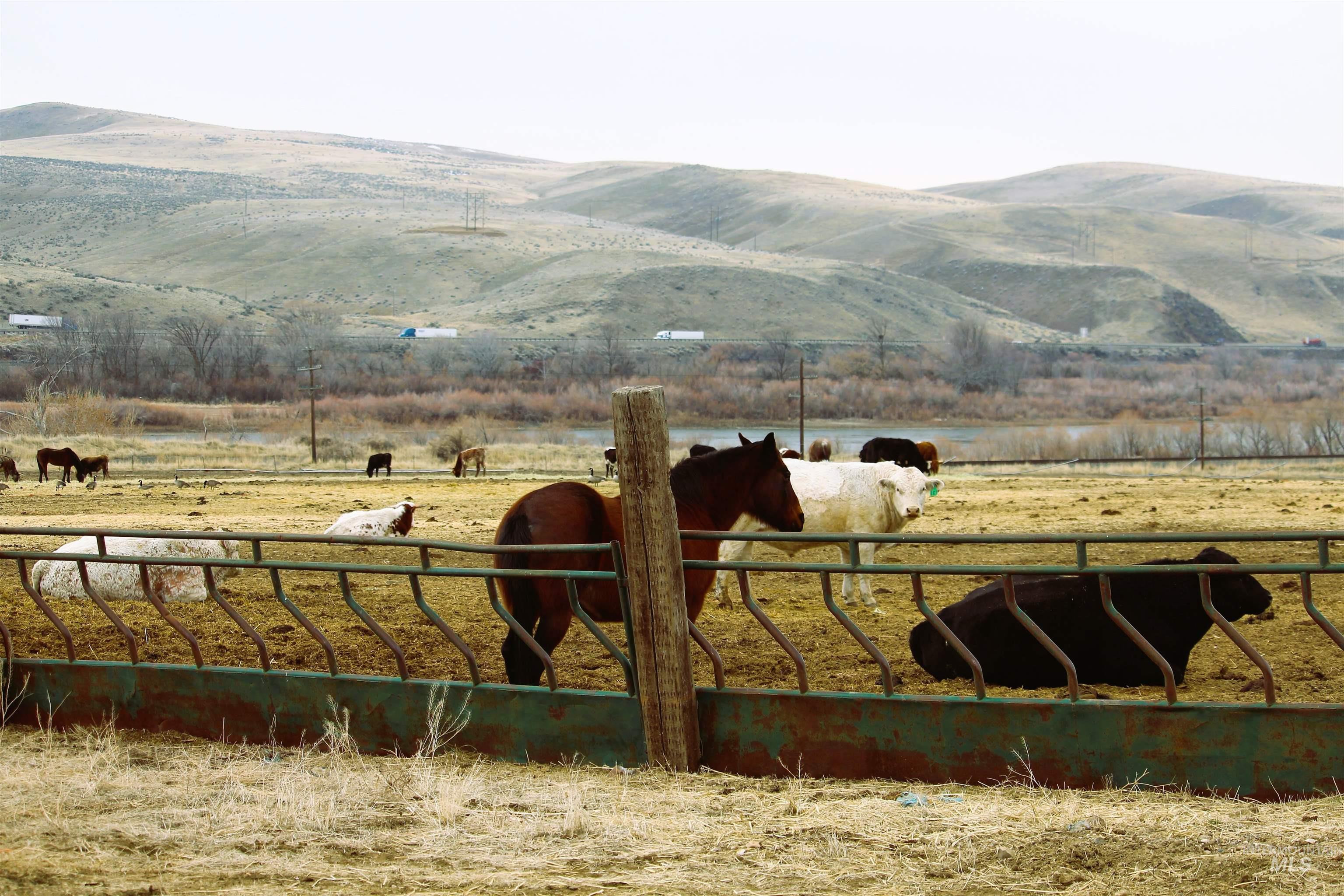 TBD Olds Ferry Rd, Weiser, Idaho 83672, 4 Bedrooms, 2 Bathrooms, Farm & Ranch For Sale, Price $3,800,000,MLS 98870778