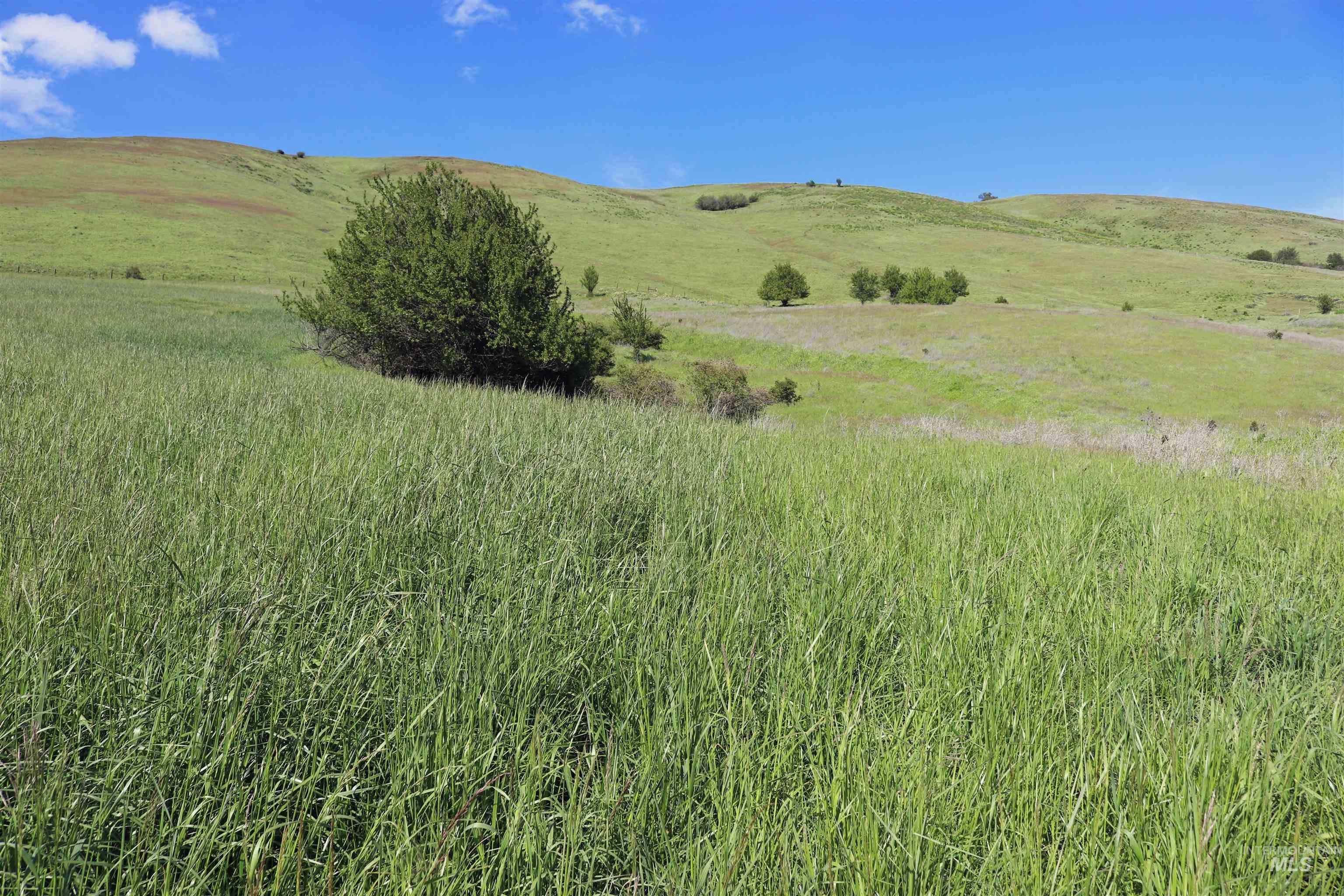 TBD Sunnyside Bench Road, Lenore, Idaho 83541, Land For Sale, Price $285,000, 98873024