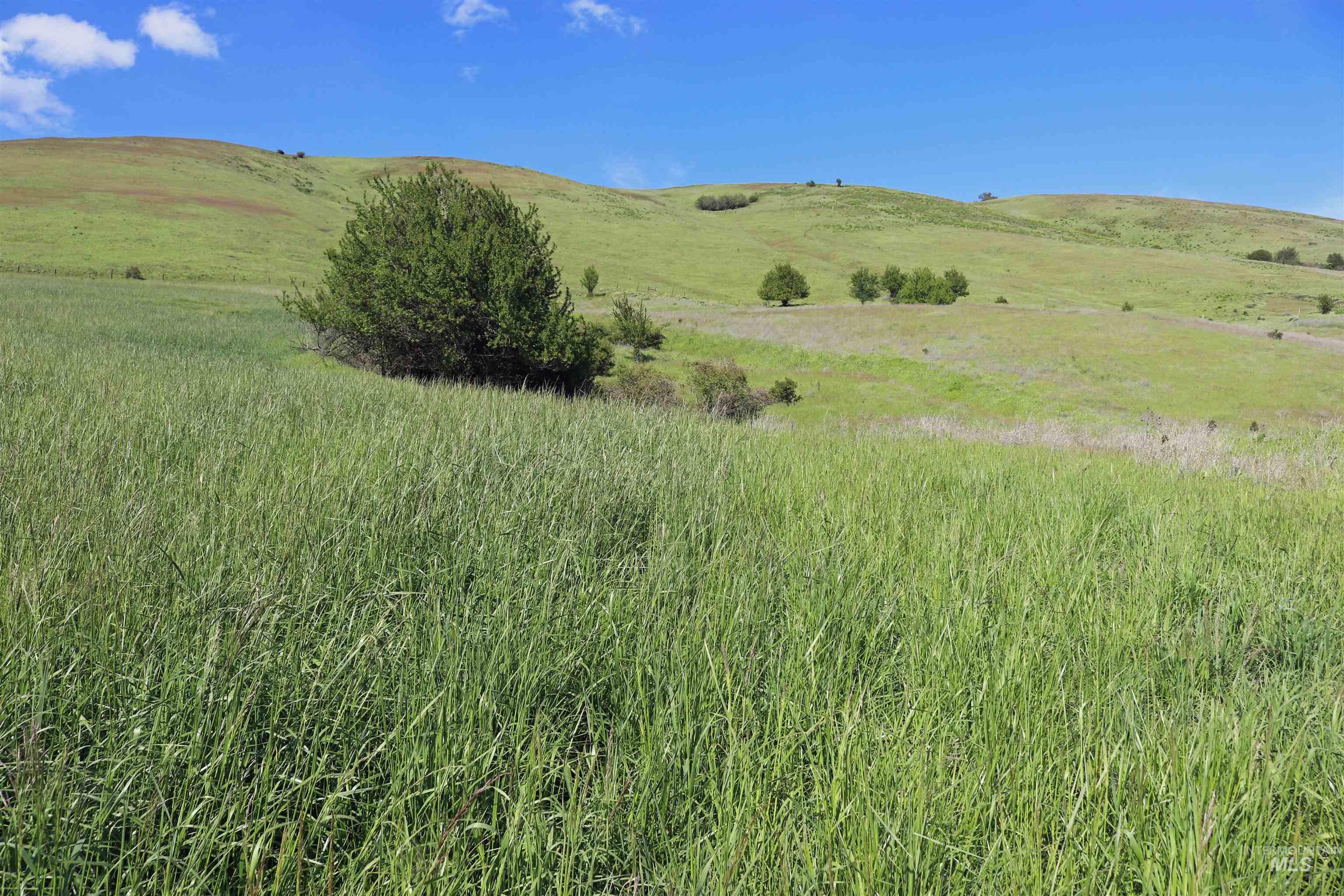 TBD Sunnyside Bench Road, Lenore, Idaho 83541, Land For Sale, Price $285,000,MLS 98873024