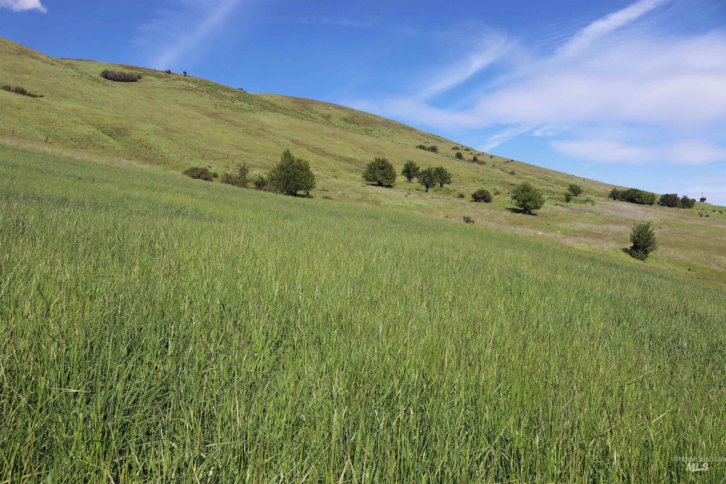 TBD Sunnyside Bench Road, Lenore, Idaho 83541, Land For Sale, Price $285,000, 98873024