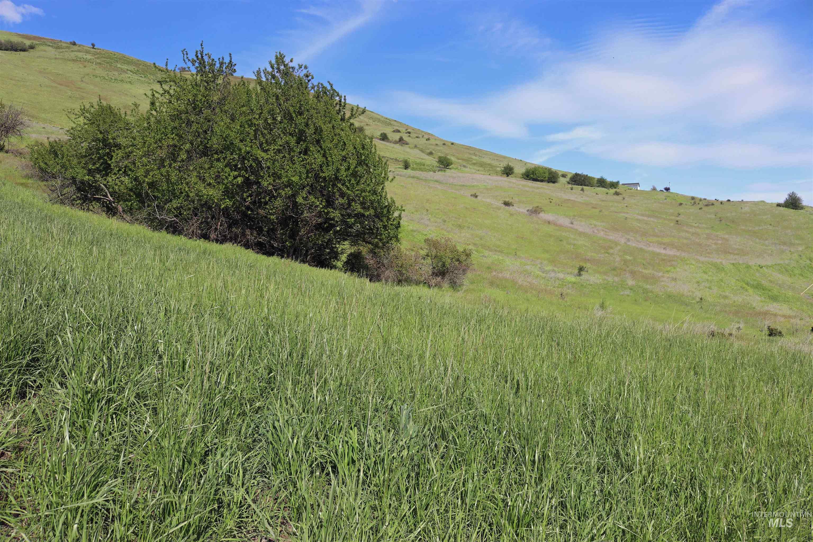 TBD Sunnyside Bench Road, Lenore, Idaho 83541, Land For Sale, Price $285,000, 98873024