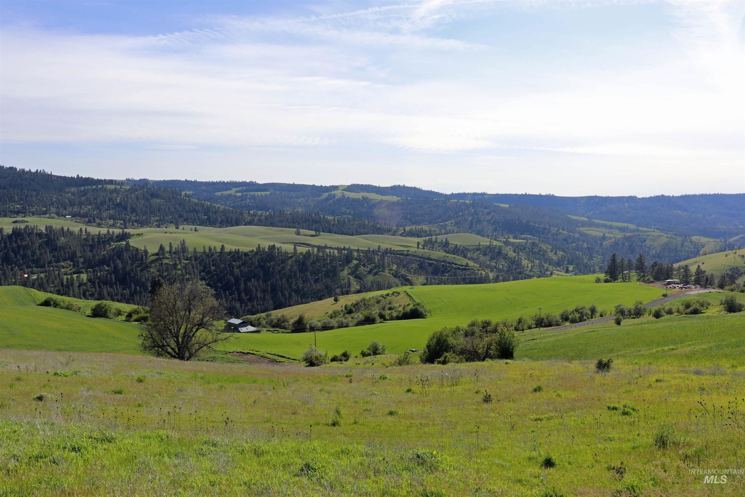 TBD Sunnyside Bench Road, Lenore, Idaho 83541, Land For Sale, Price $285,000, 98873024