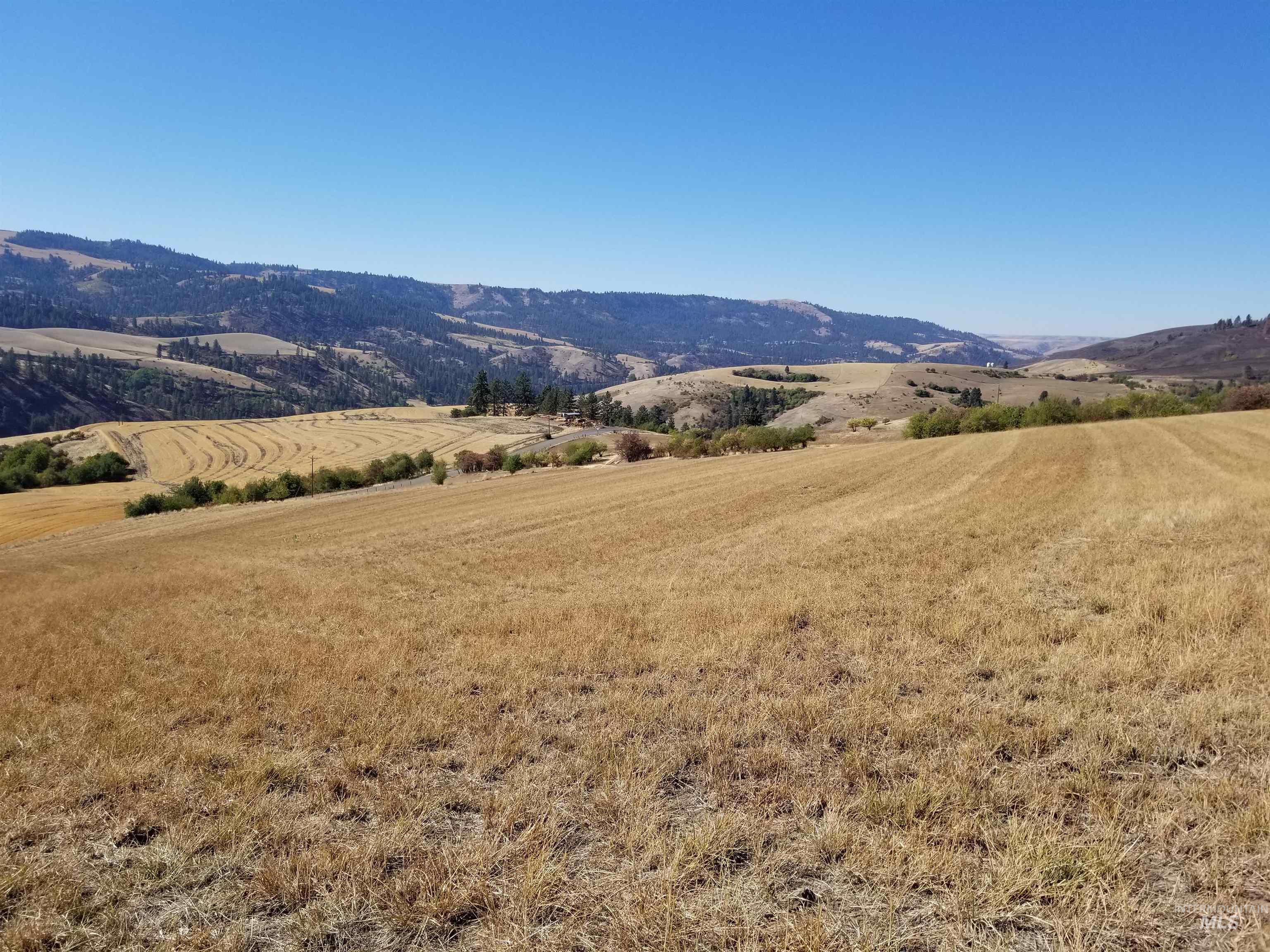 TBD Sunnyside Bench Road, Lenore, Idaho 83541, Land For Sale, Price $285,000, 98873024