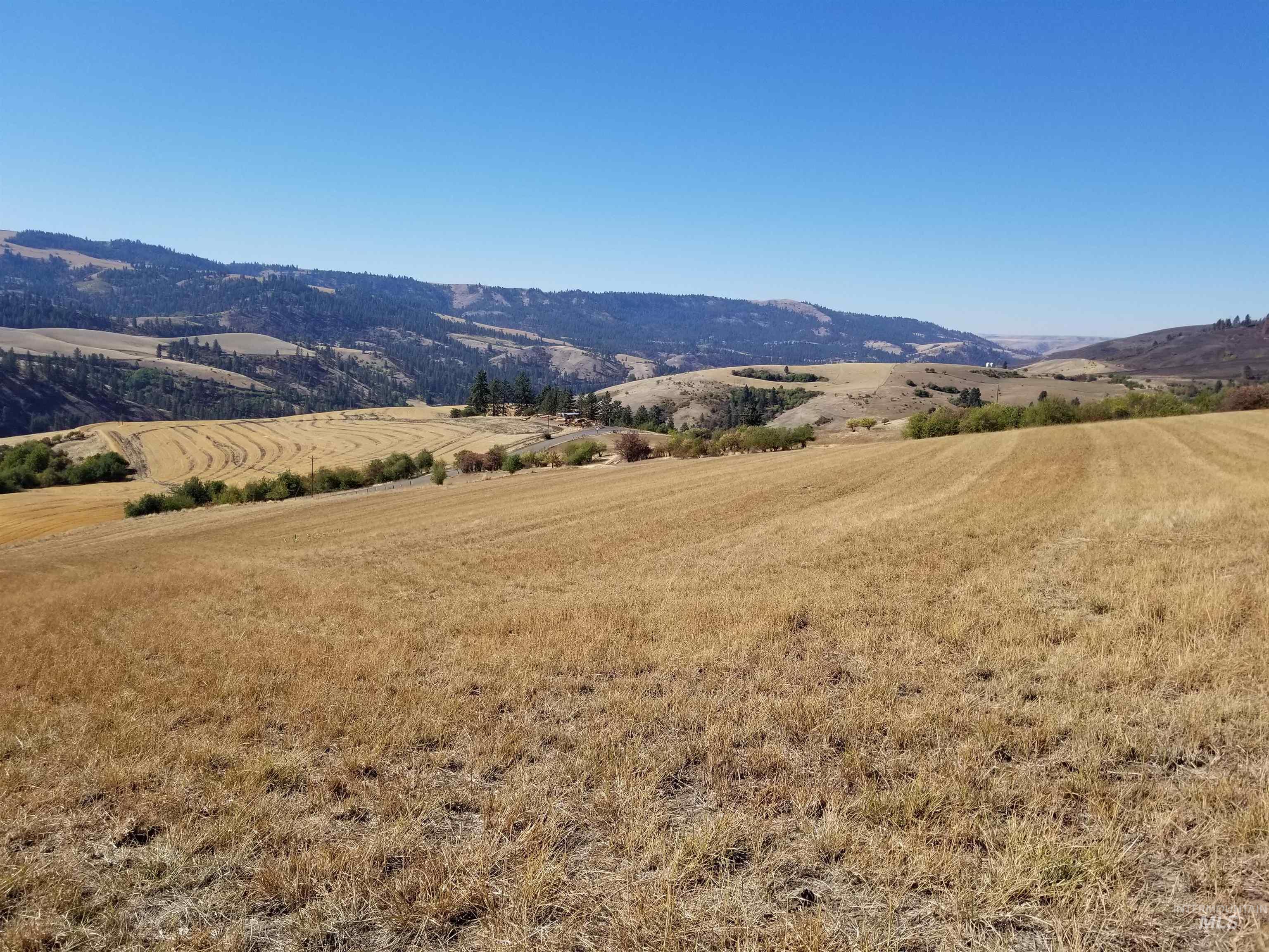 TBD Sunnyside Bench Road, Lenore, Idaho 83541, Land For Sale, Price $285,000,MLS 98873024