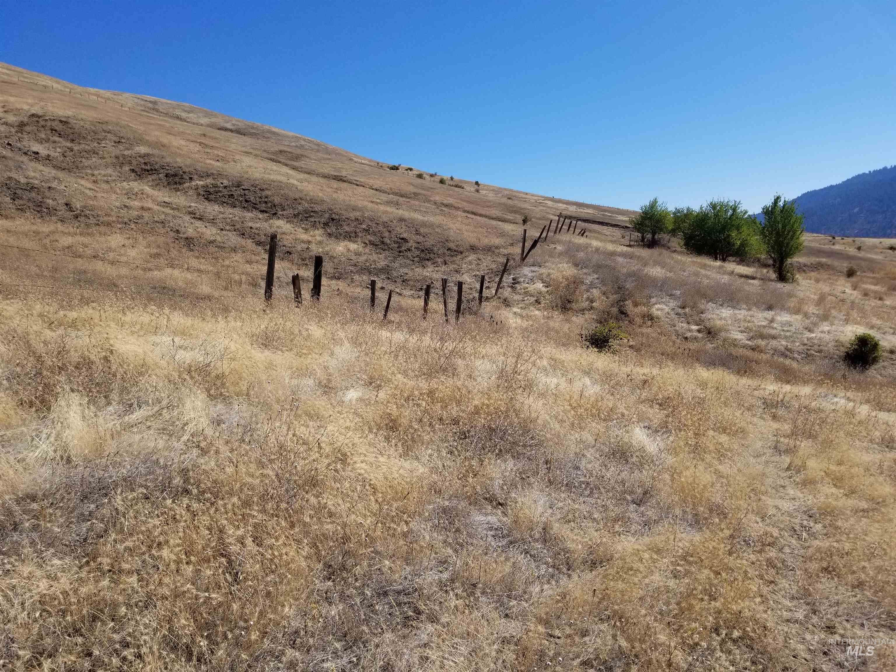 TBD Sunnyside Bench Road, Lenore, Idaho 83541, Land For Sale, Price $285,000, 98873024