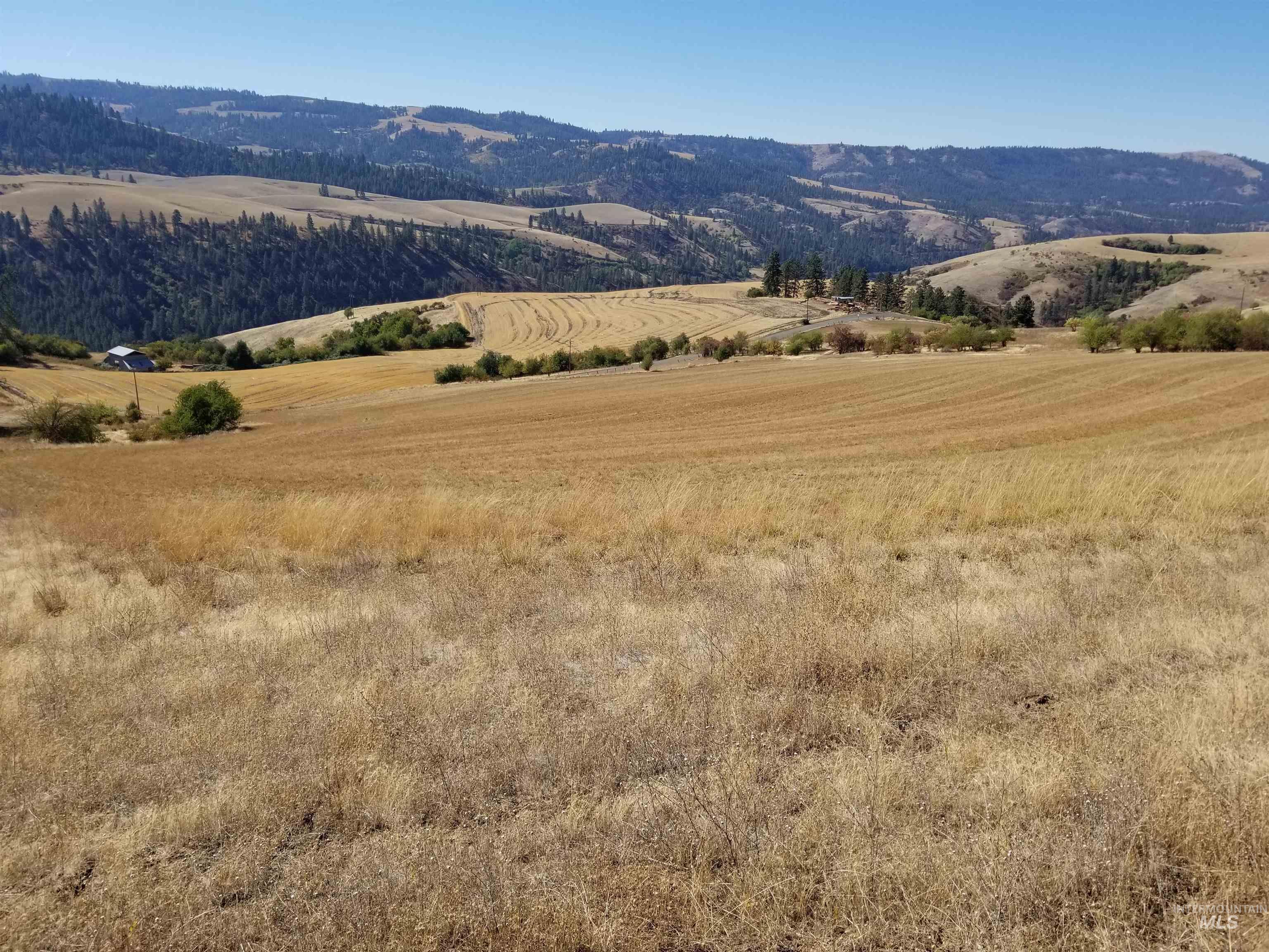 TBD Sunnyside Bench Road, Lenore, Idaho 83541, Land For Sale, Price $285,000, 98873024