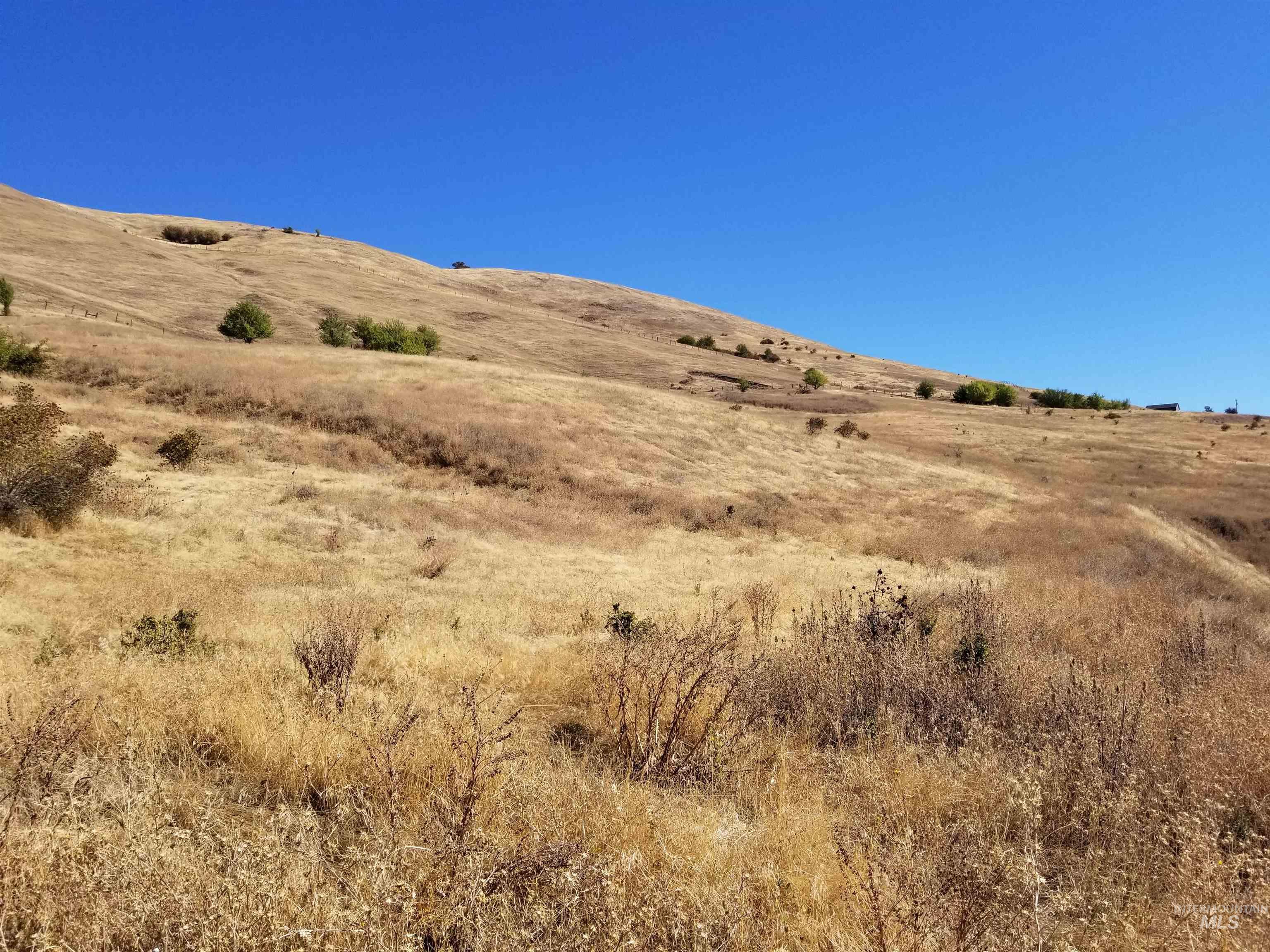 TBD Sunnyside Bench Road, Lenore, Idaho 83541, Land For Sale, Price $285,000, 98873024